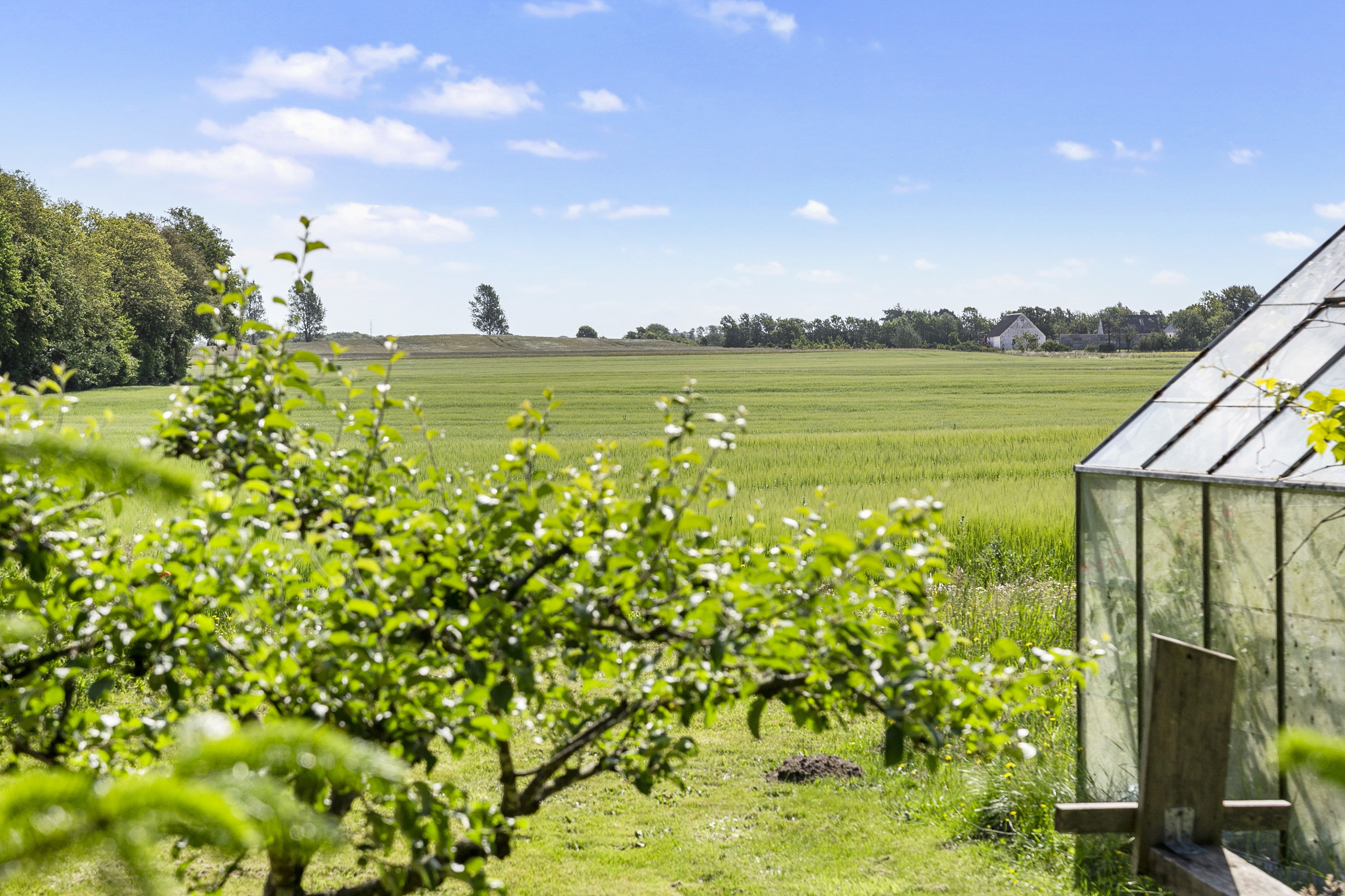 Fremhævet have billede i fuldskærmstilstand. Billede af Skatskovvej 35, Guldager, 9620 Aalestrup