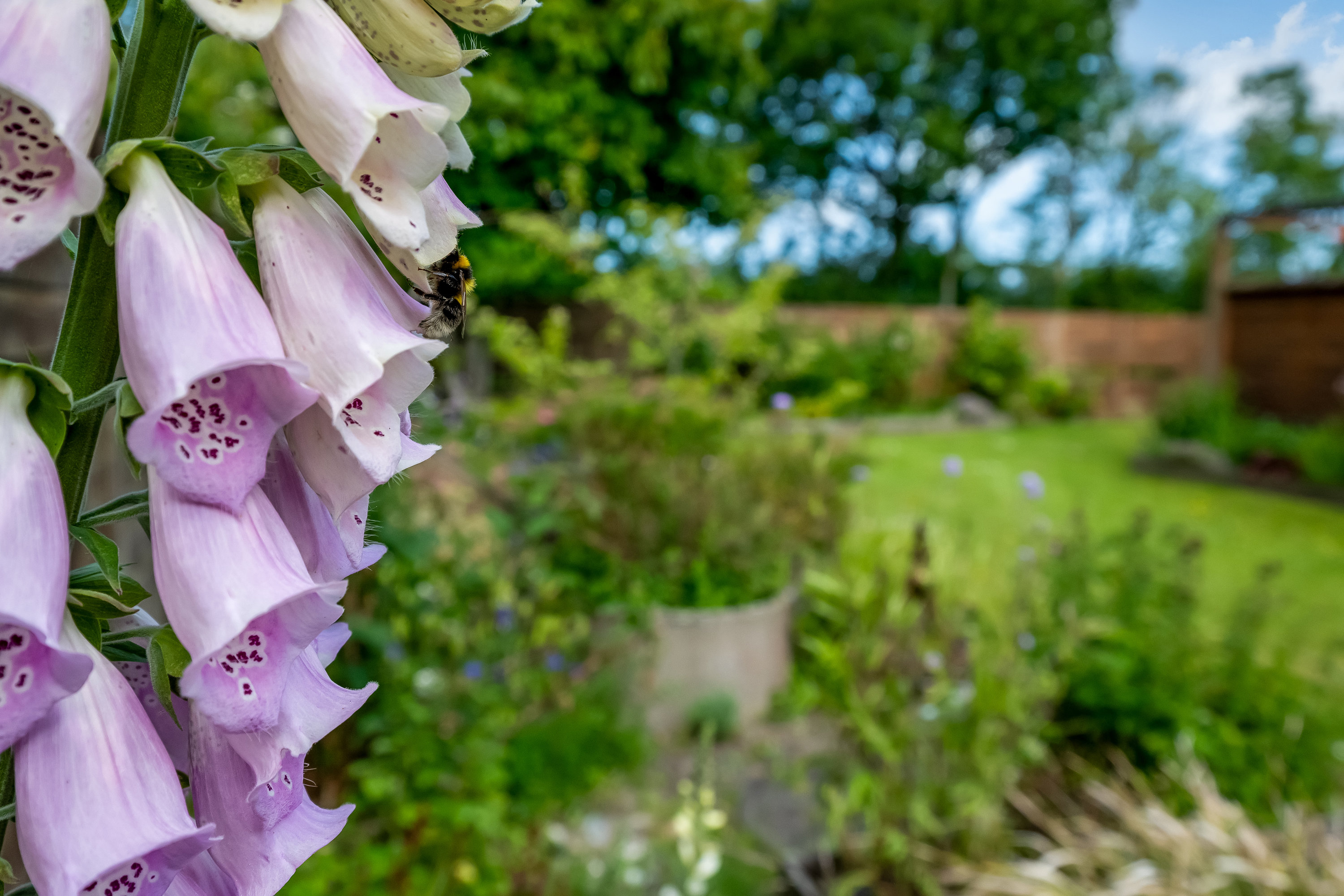 Fremhævet have billede i fuldskærmstilstand. Billede af Frejasvej 48, Nørlem, 7620 Lemvig