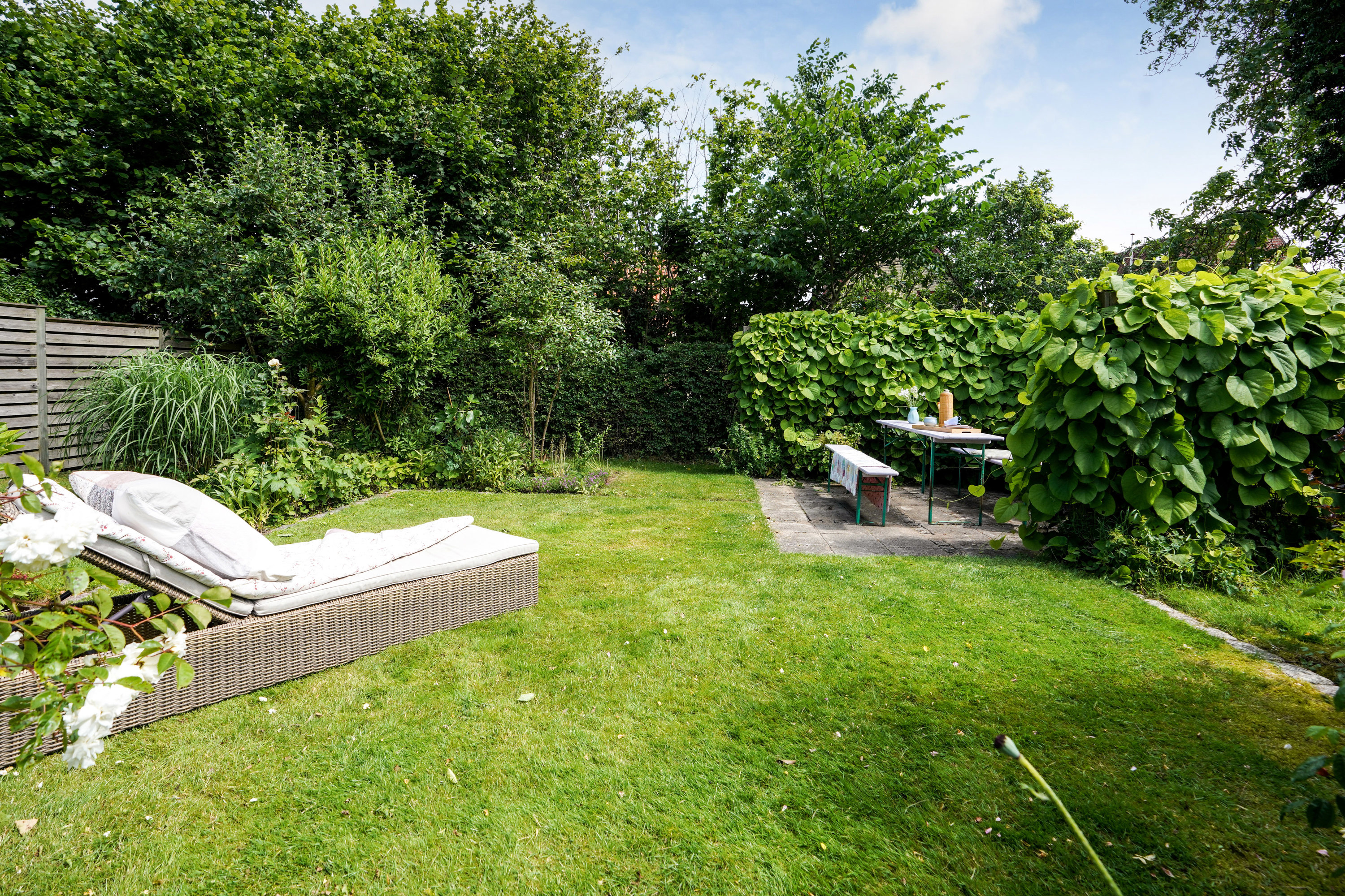 Fremhævet have billede i fuldskærmstilstand. Billede af Haraldsgade 20, 5000 Odense C