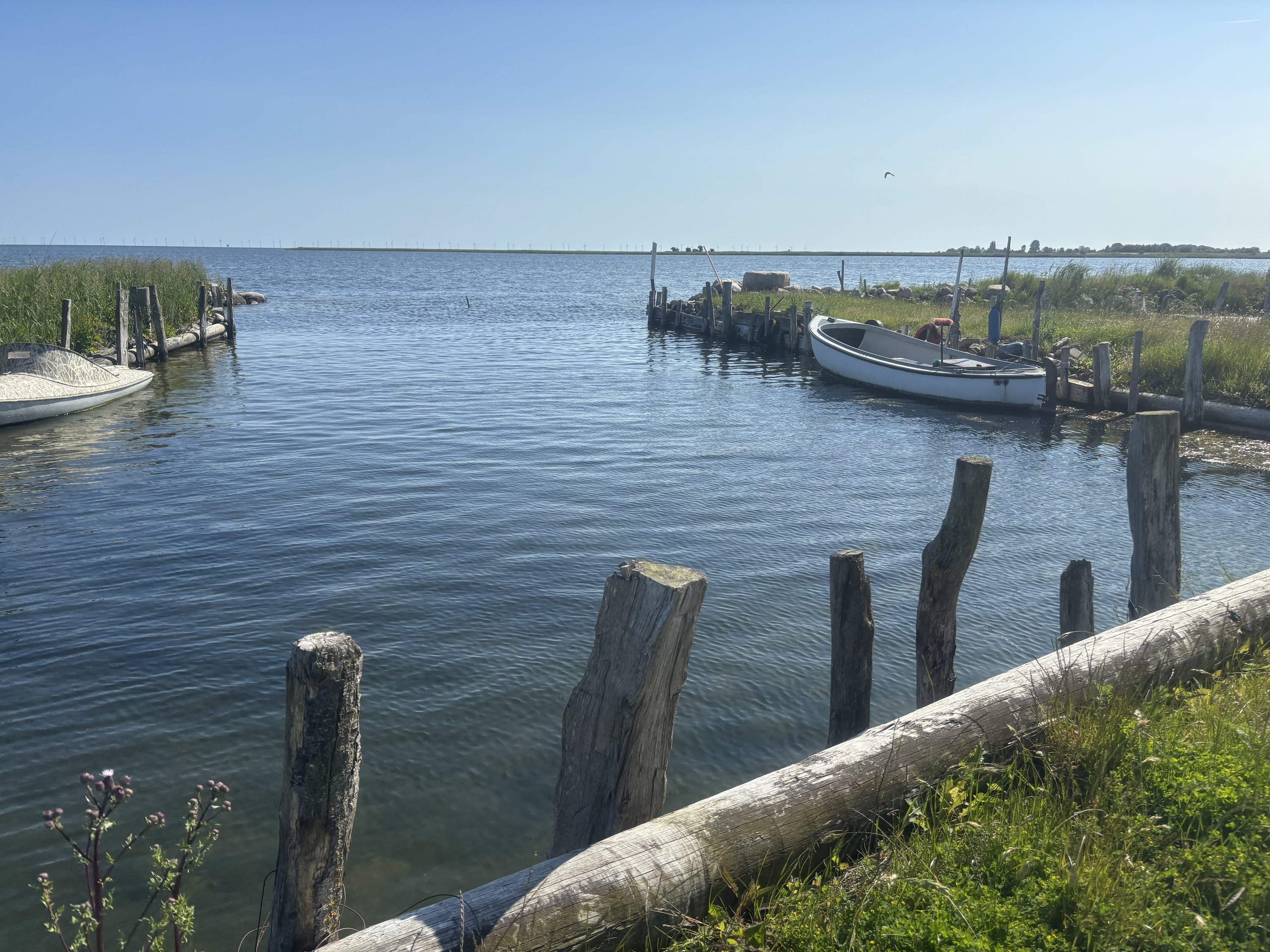 Fremhævet  billede i fuldskærmstilstand. Billede af Alleen 1, 4894 Øster Ulslev