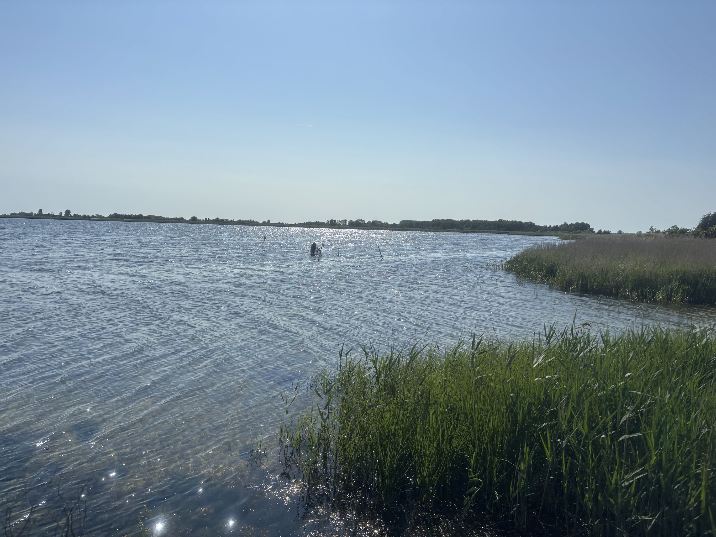 Miniaturebillede 1: . Billede af Alleen 1, 4894 Øster Ulslev