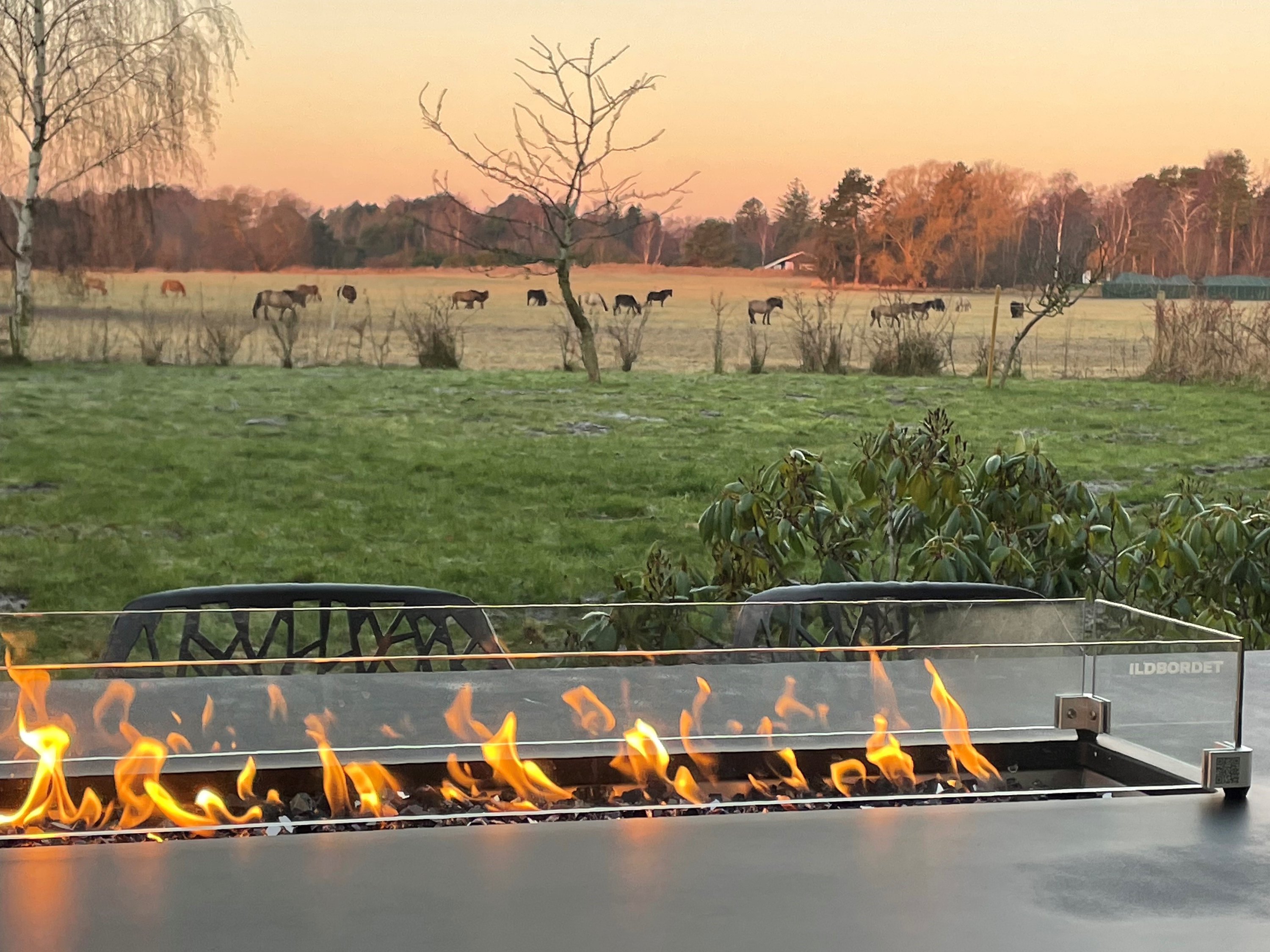 Miniaturebillede 2: . Billede af Ved Møllen 11, 4581 Rørvig