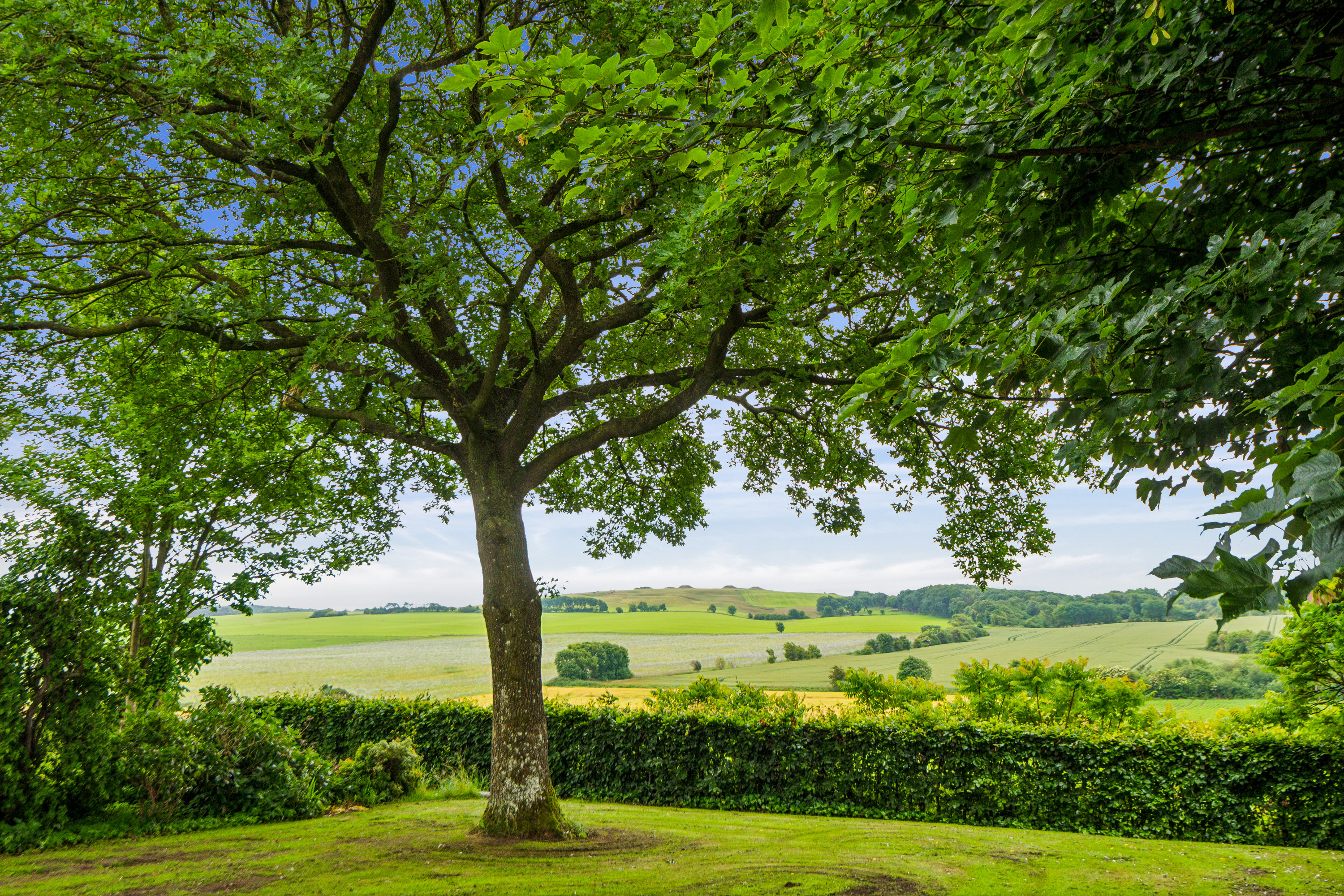 Fremhævet omgivelser billede i fuldskærmstilstand. Billede af Nibevej 229, Moldbjerg, 9530 Støvring
