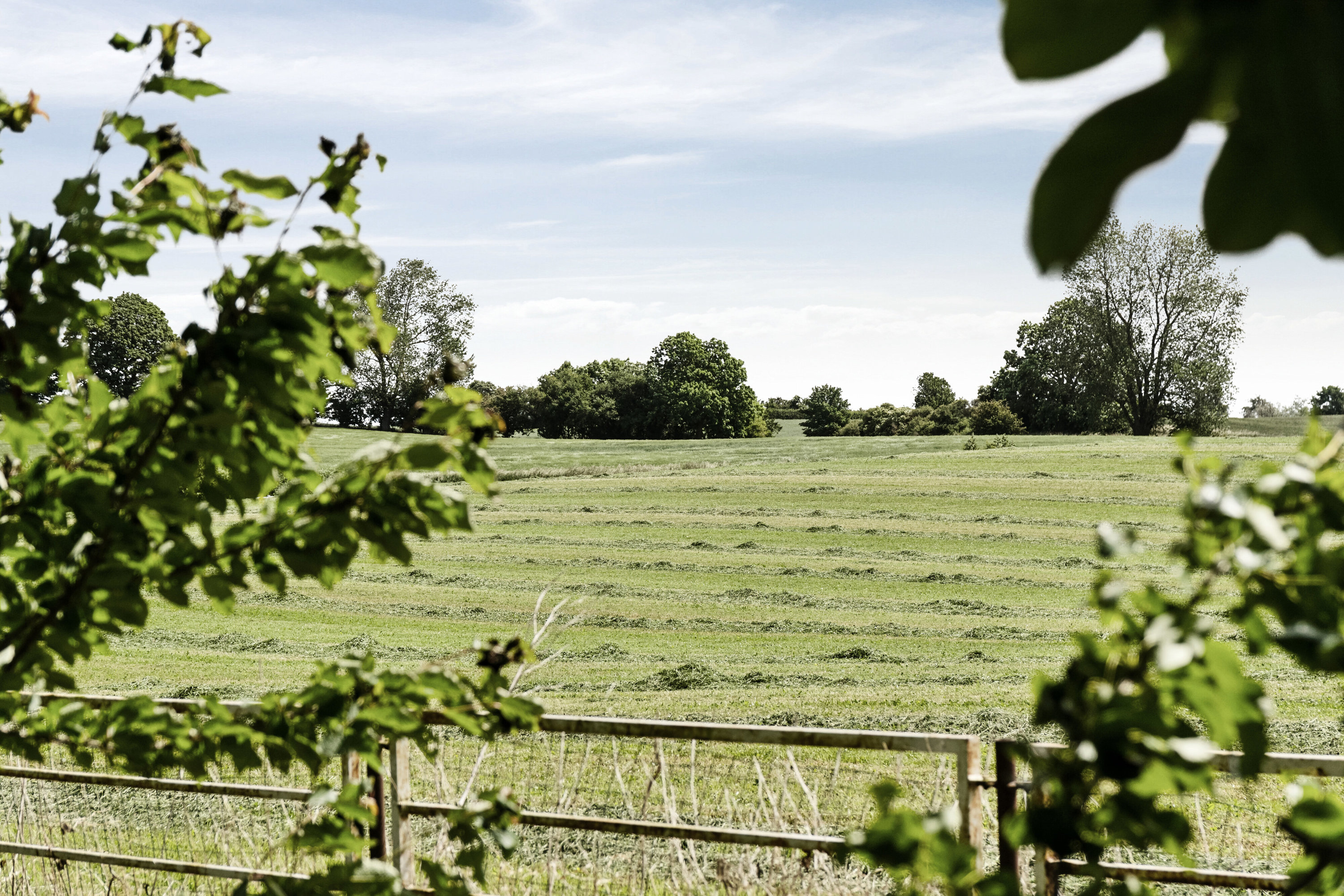 Fremhævet have billede i fuldskærmstilstand. Billede af Engelstrupvej 6, 4571 Grevinge