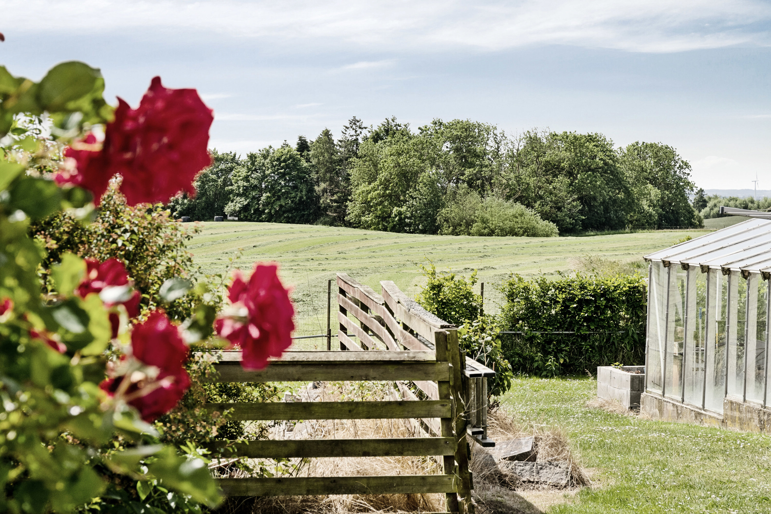 Fremhævet udendørs billede i fuldskærmstilstand. Billede af Engelstrupvej 6, 4571 Grevinge