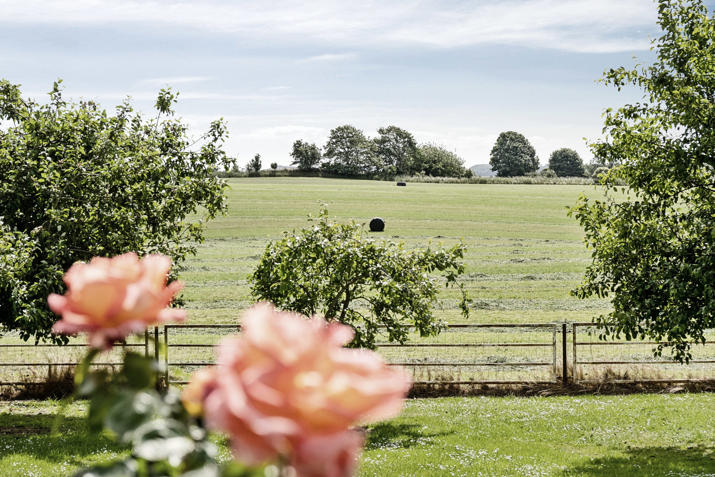 Fremhævet udendørs billede i fuldskærmstilstand. Billede af Engelstrupvej 6, 4571 Grevinge