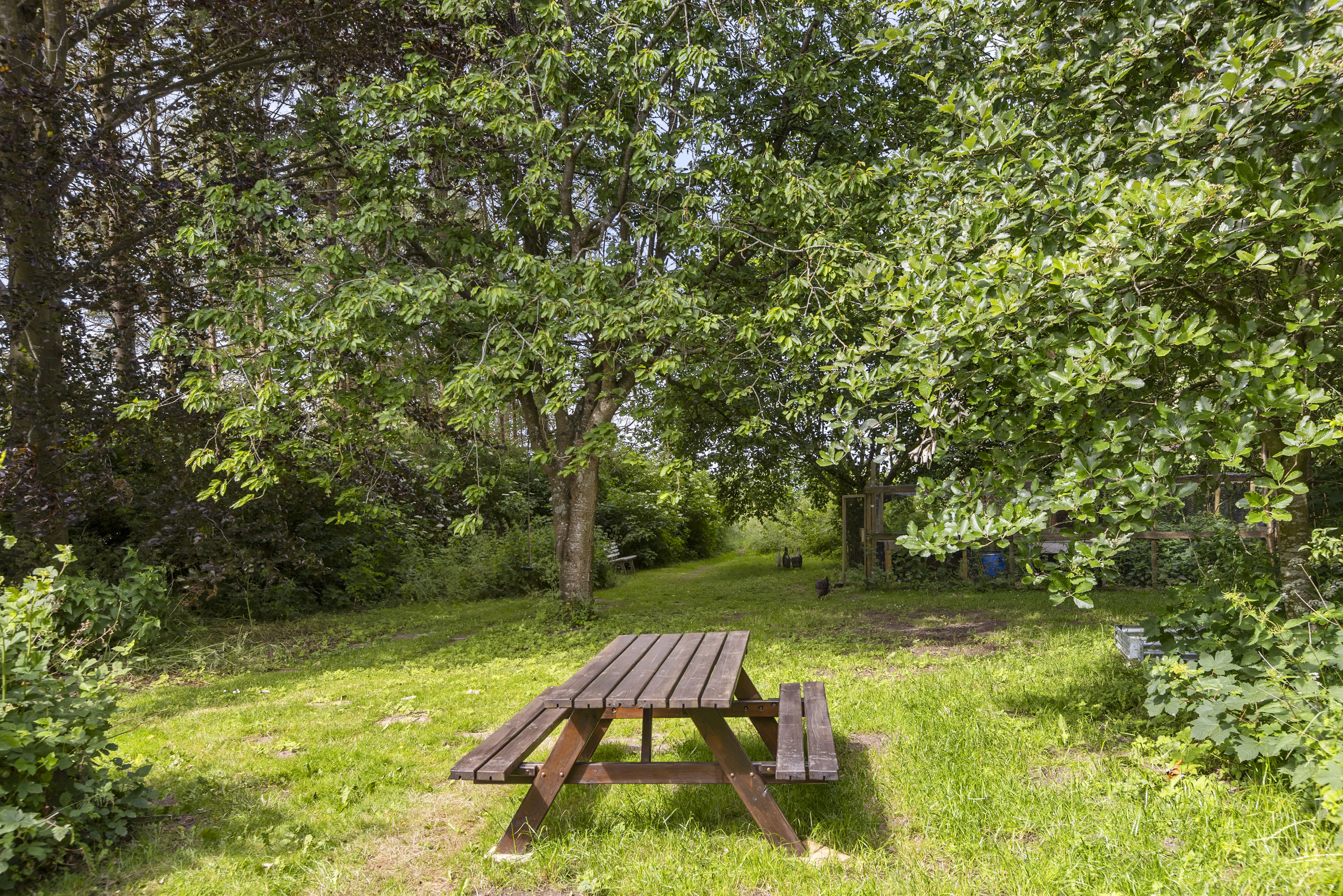 Fremhævet have billede i fuldskærmstilstand. Billede af Langevej 2, 4173 Fjenneslev