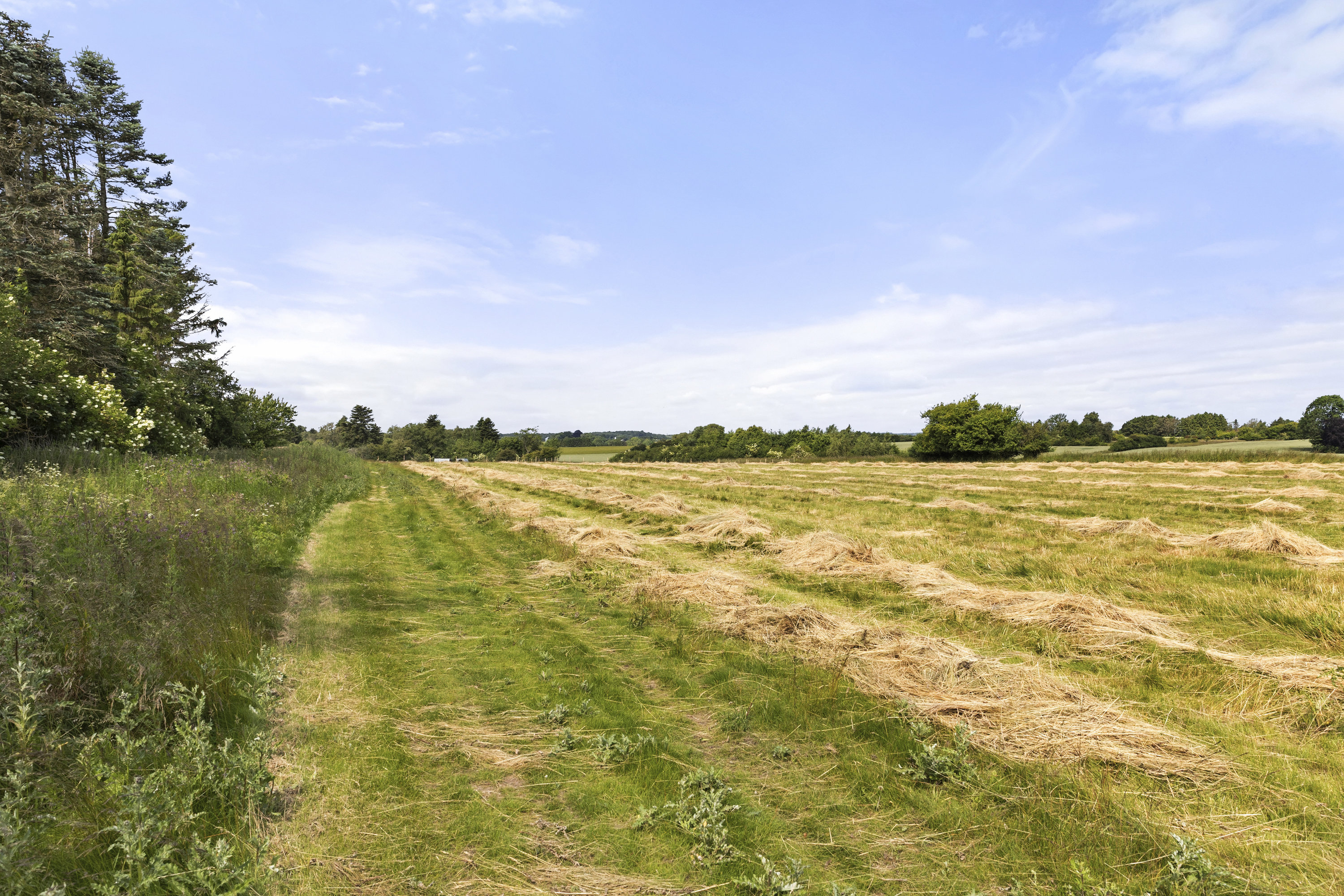 Fremhævet grund billede i fuldskærmstilstand. Billede af Langevej 2, 4173 Fjenneslev