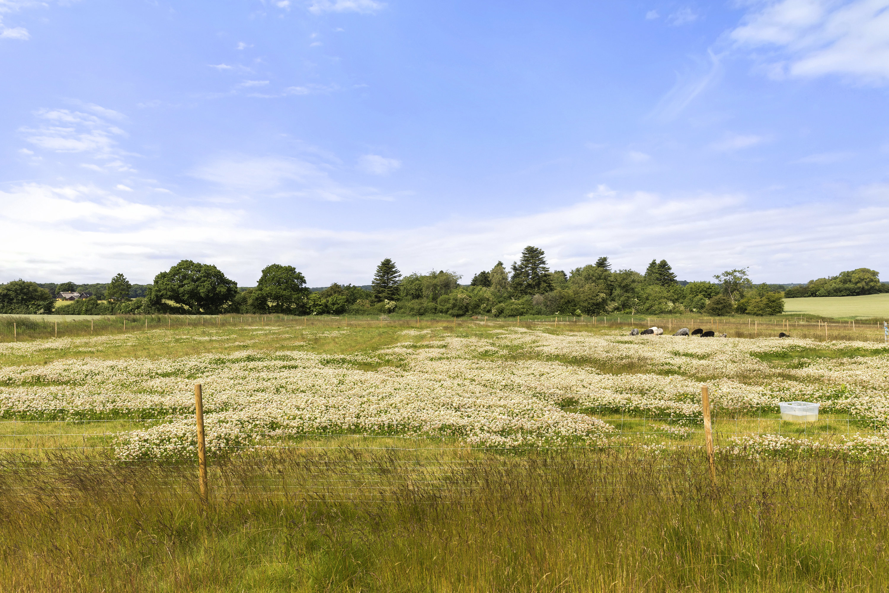 Fremhævet grund billede i fuldskærmstilstand. Billede af Langevej 2, 4173 Fjenneslev