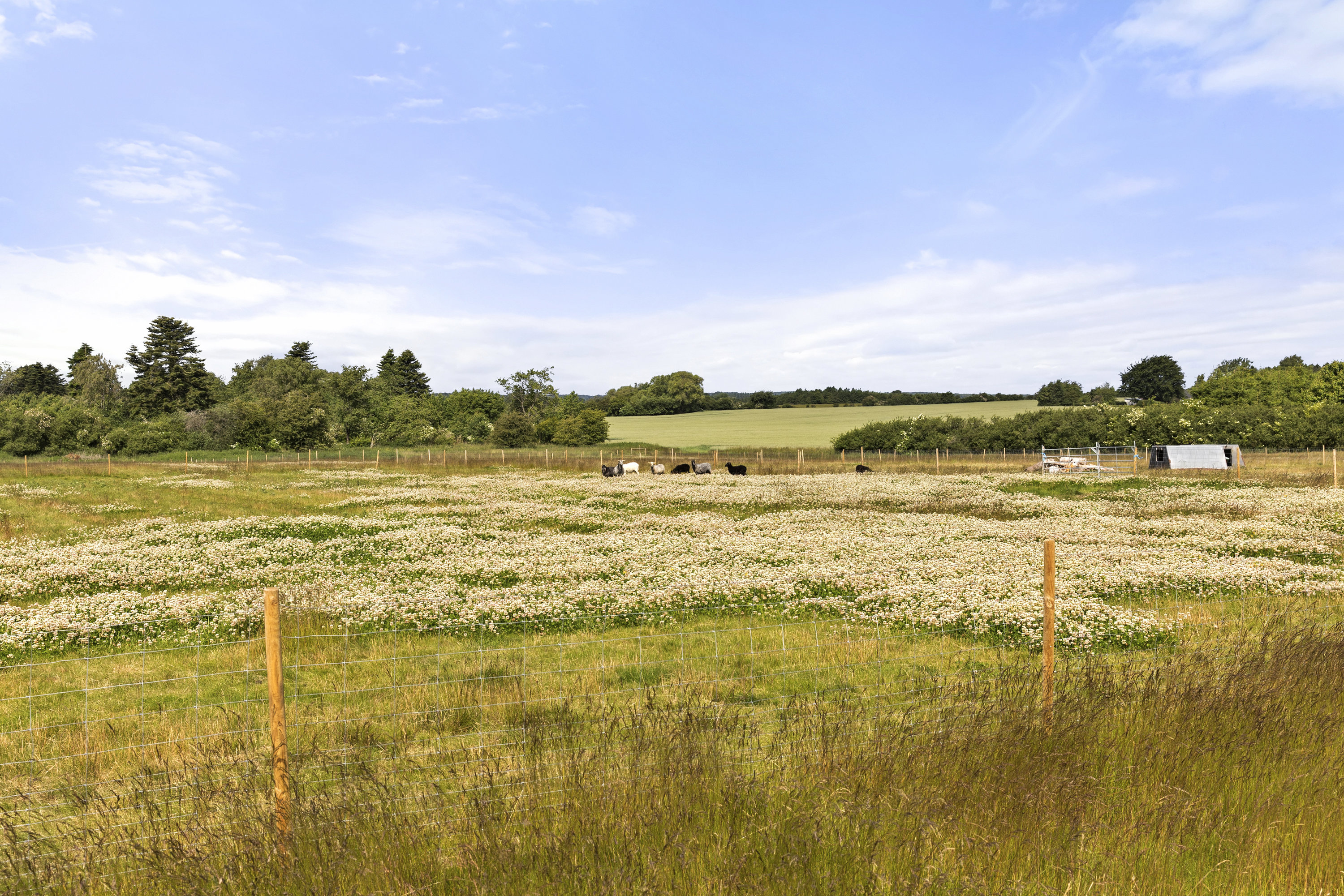 Fremhævet grund billede i fuldskærmstilstand. Billede af Langevej 2, 4173 Fjenneslev