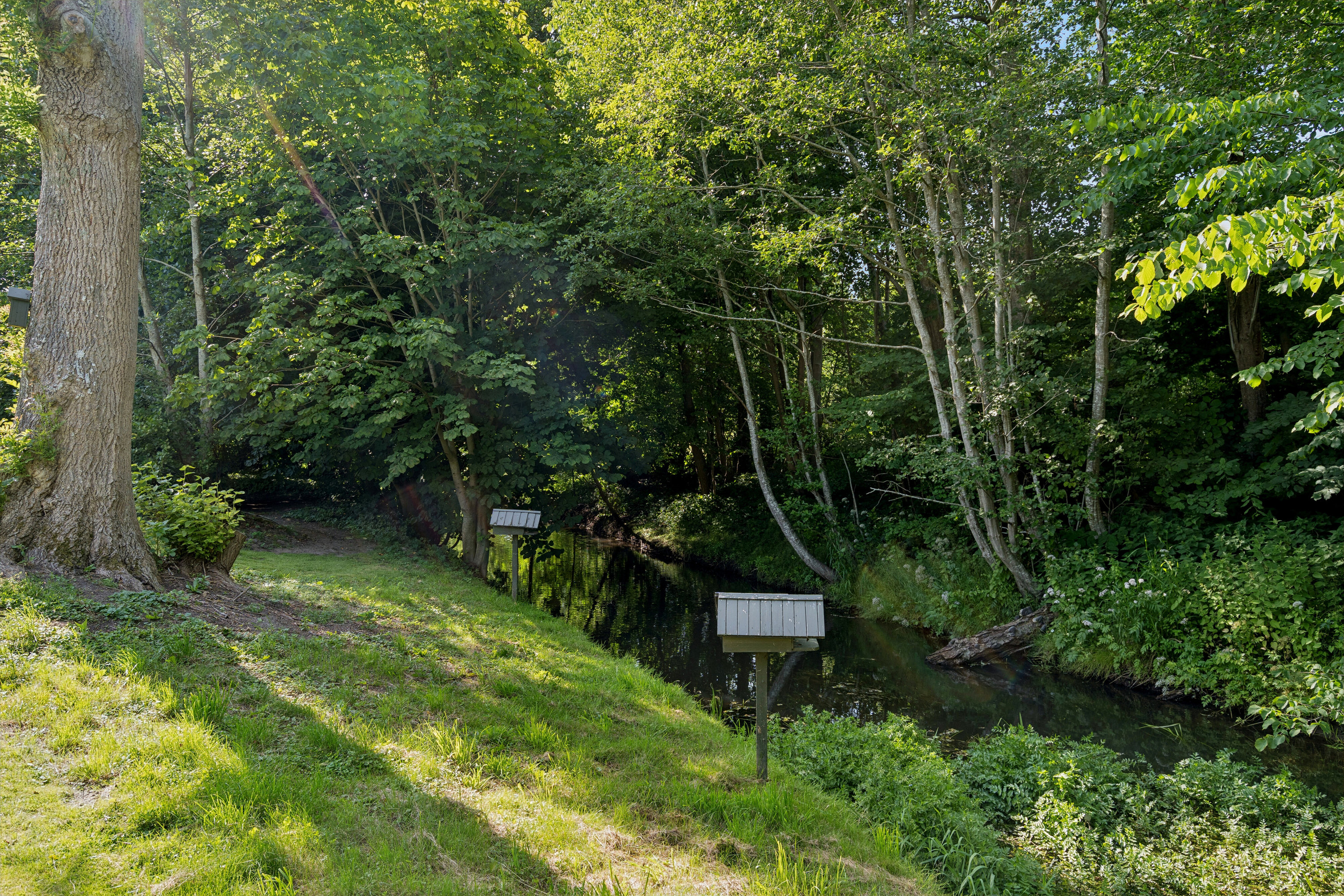 Fremhævet å i baghaven billede i fuldskærmstilstand. Billede af Sallinge Ågade 14, Sallinge, 5750 Ringe