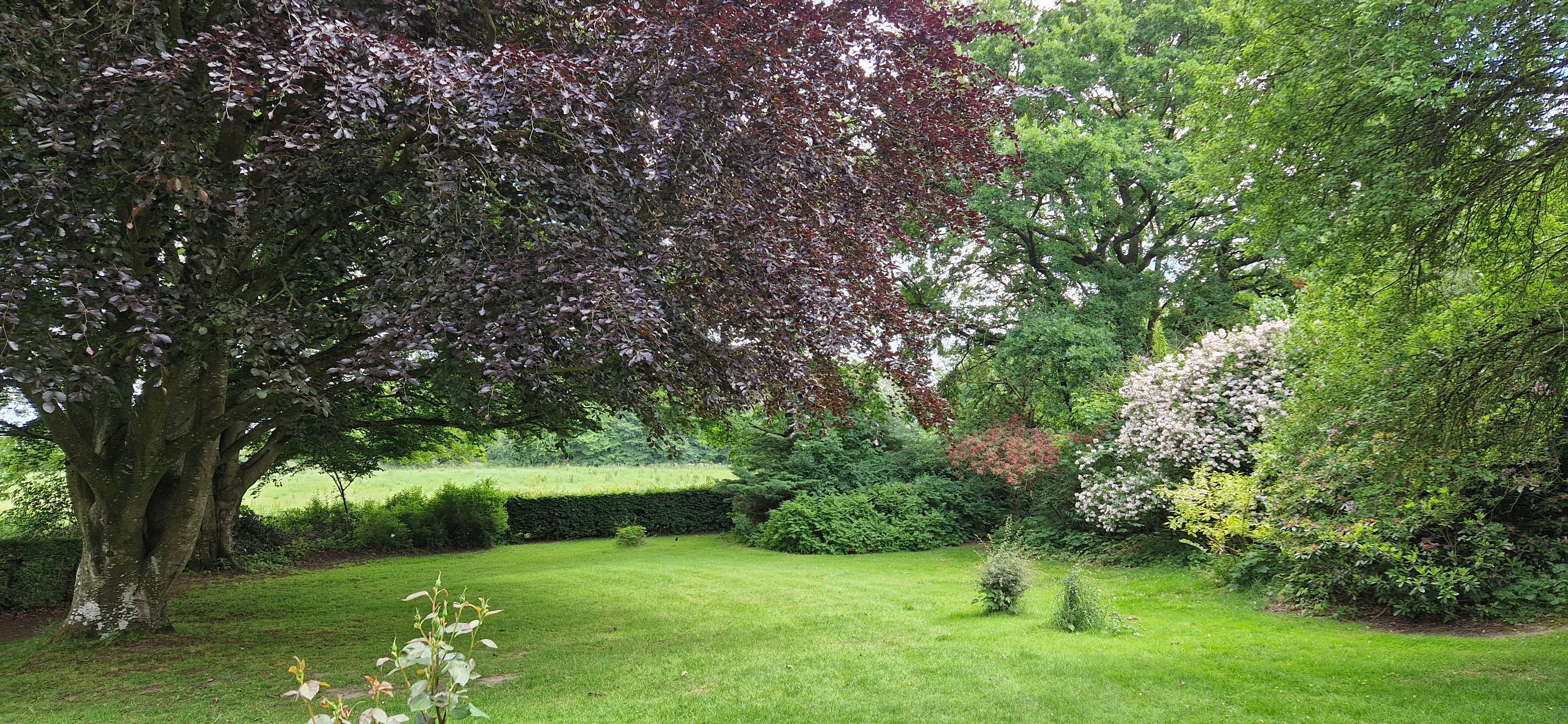 Fremhævet  billede i fuldskærmstilstand. Billede af Tastumvej 20, Troelstrup, 7850 Stoholm Jyll