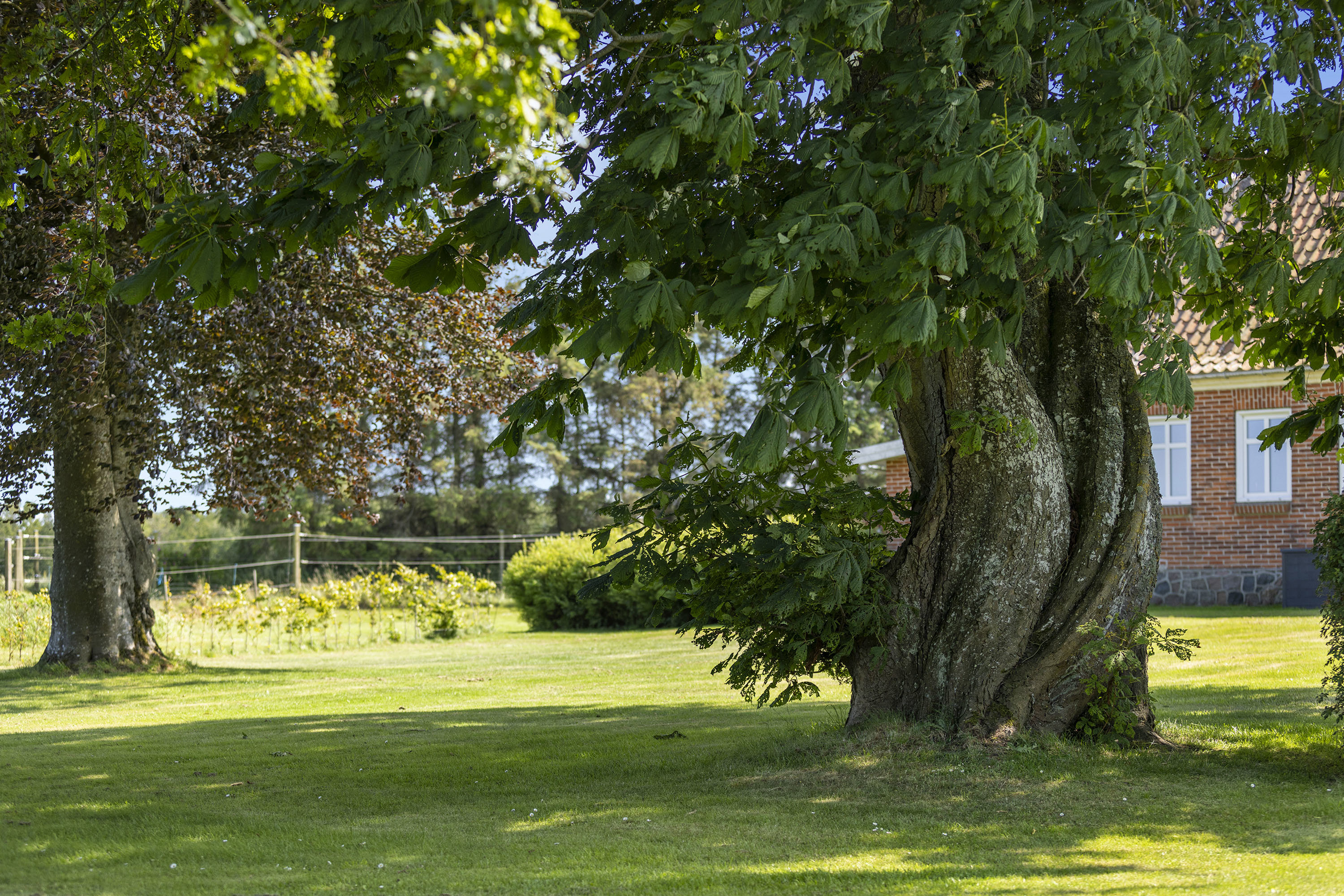 Fremhævet have billede i fuldskærmstilstand. Billede af Nørtvedvej 8, 9970 Strandby