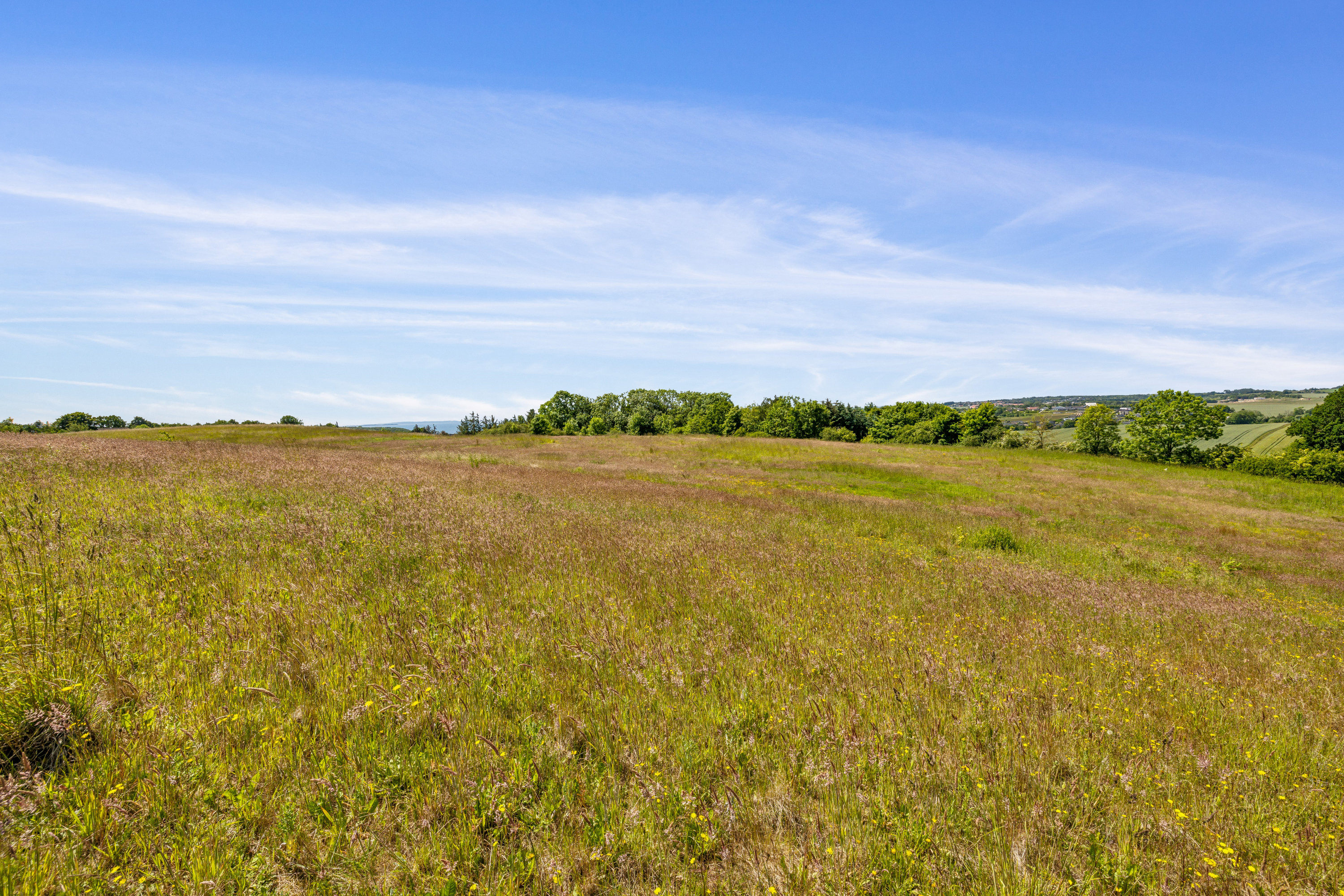 Fremhævet omgivelser billede i fuldskærmstilstand. Billede af Kappelgårdparken 43, 8410 Rønde