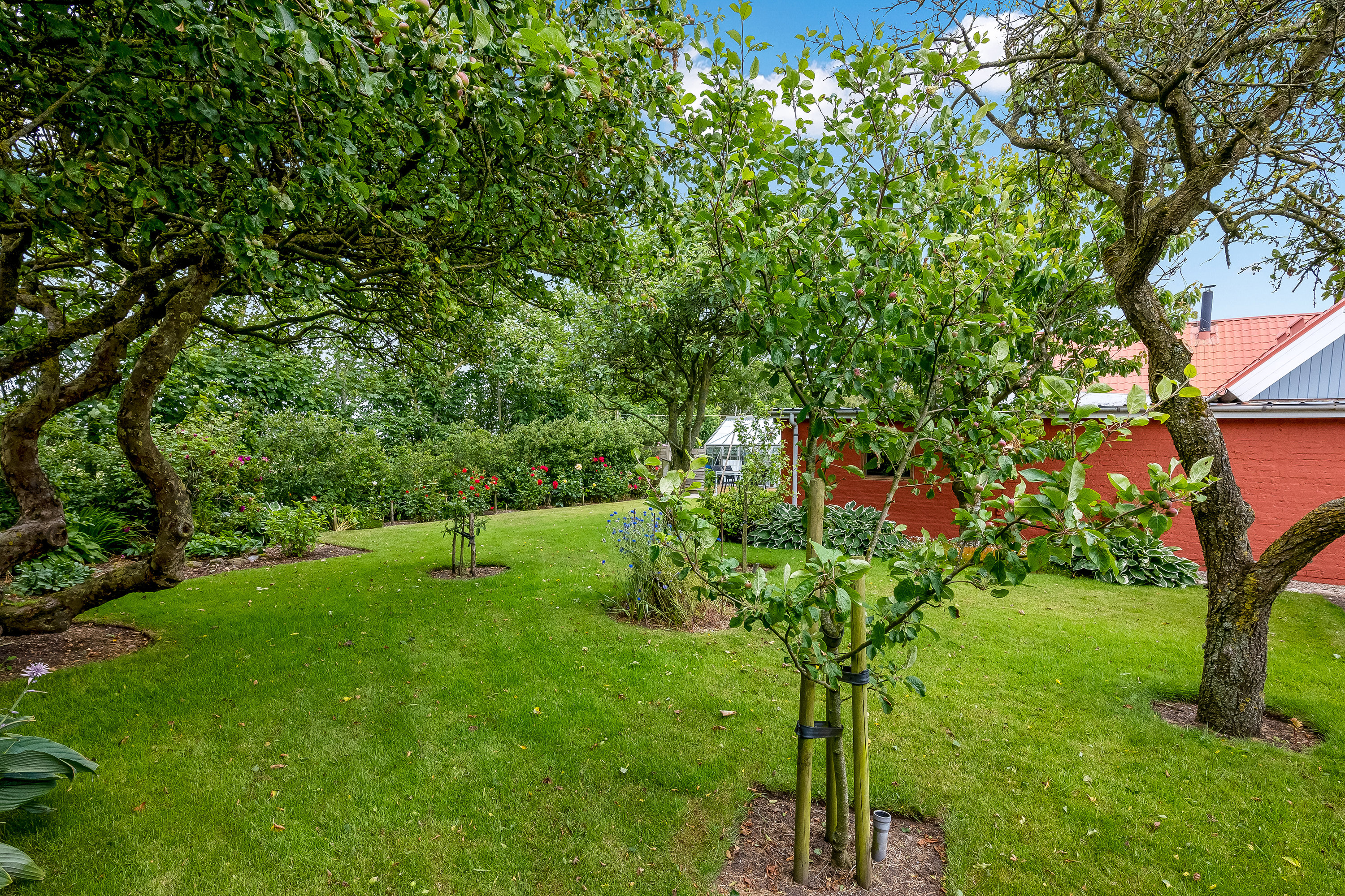 Fremhævet have billede i fuldskærmstilstand. Billede af Toelbjergvej 13, Hove, 7620 Lemvig