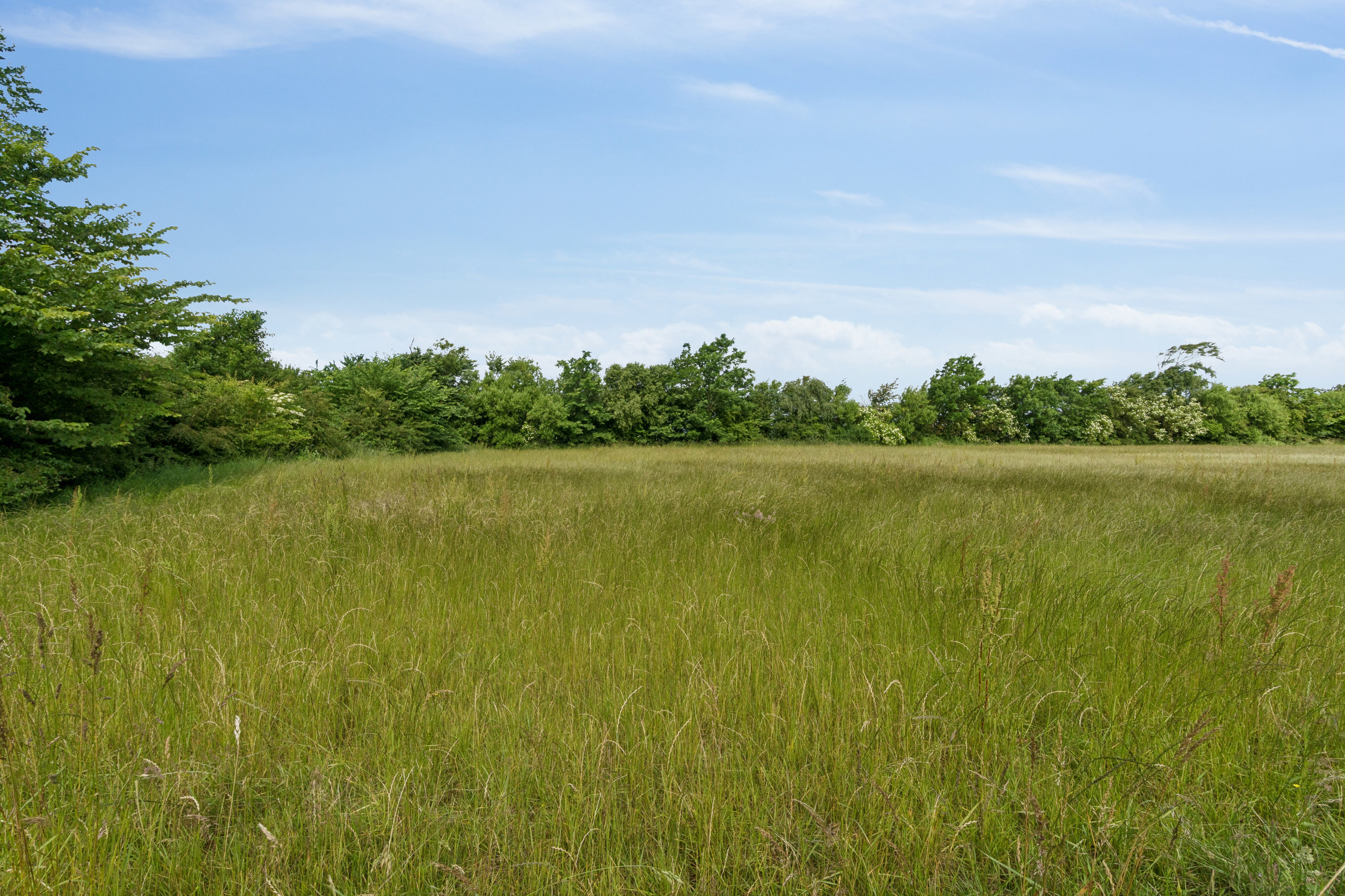 Fremhævet omgivelser billede i fuldskærmstilstand. Billede af Thorstedvej 88, Tingstrup, 7700 Thisted