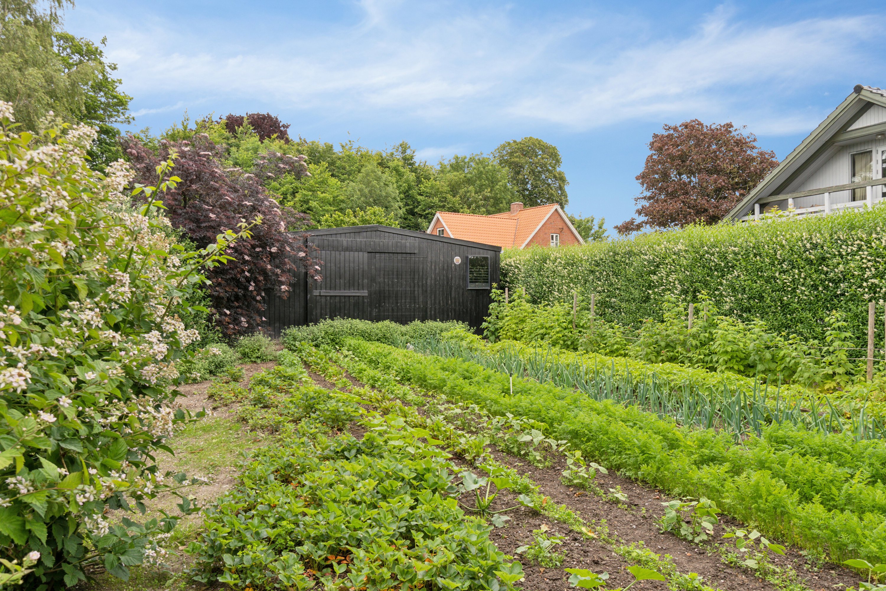 Fremhævet set fra haven billede i fuldskærmstilstand. Billede af Fodbygade 27B, Fodby, 4700 Næstved