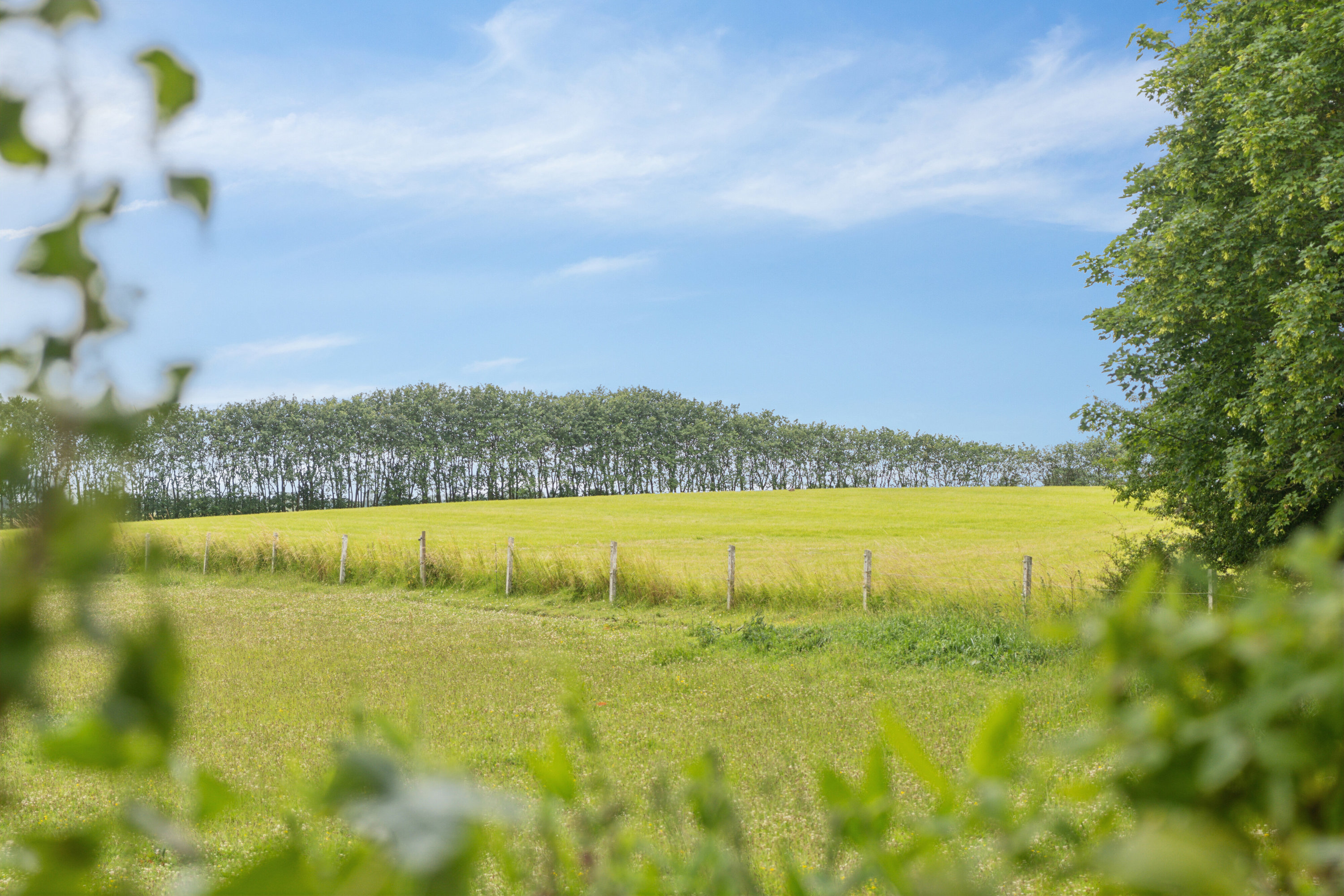 Miniaturebillede 1: have. Billede af Fodbygade 27B, Fodby, 4700 Næstved