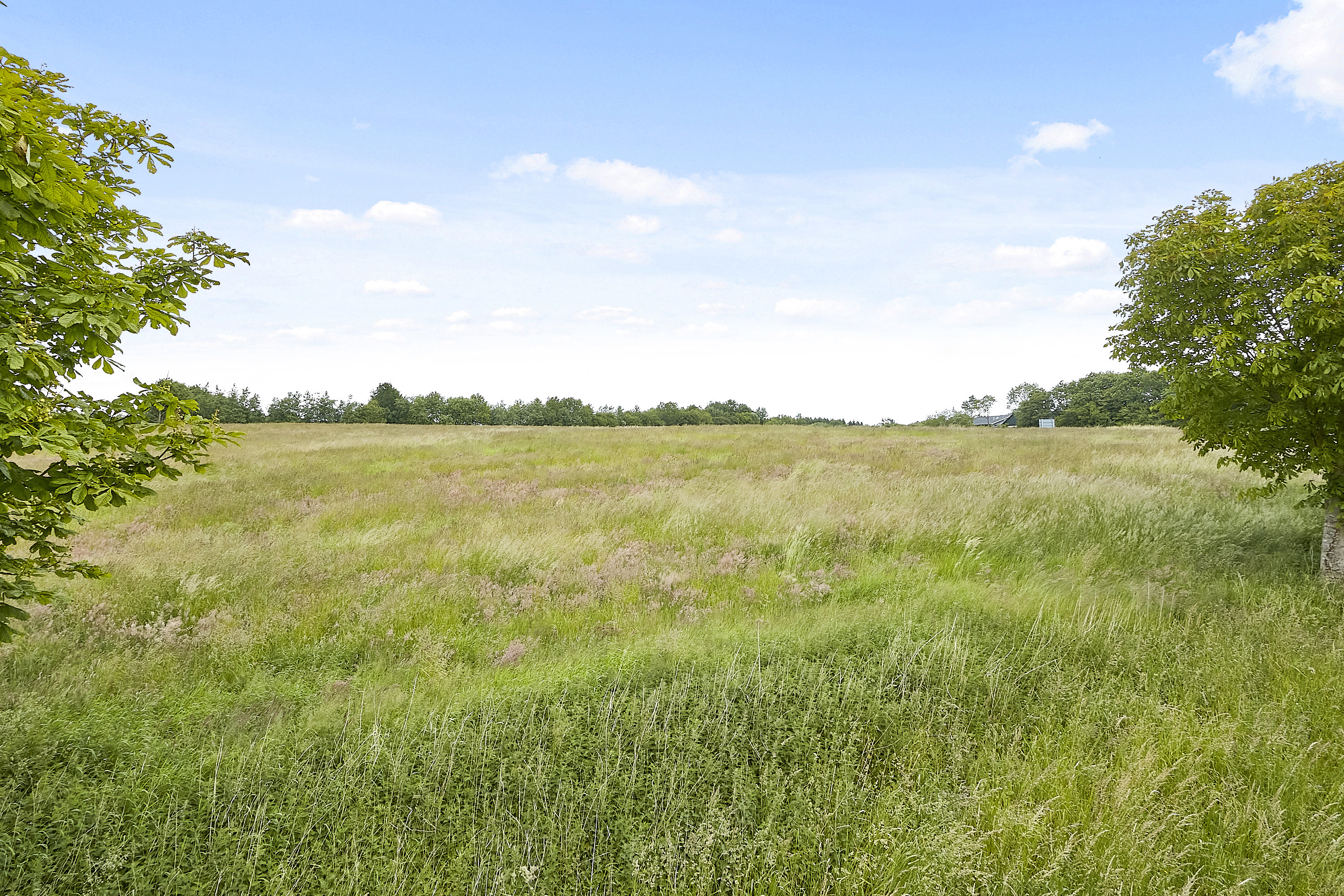 Fremhævet  billede i fuldskærmstilstand. Billede af Ring Søpark II 2, 8740 Brædstrup