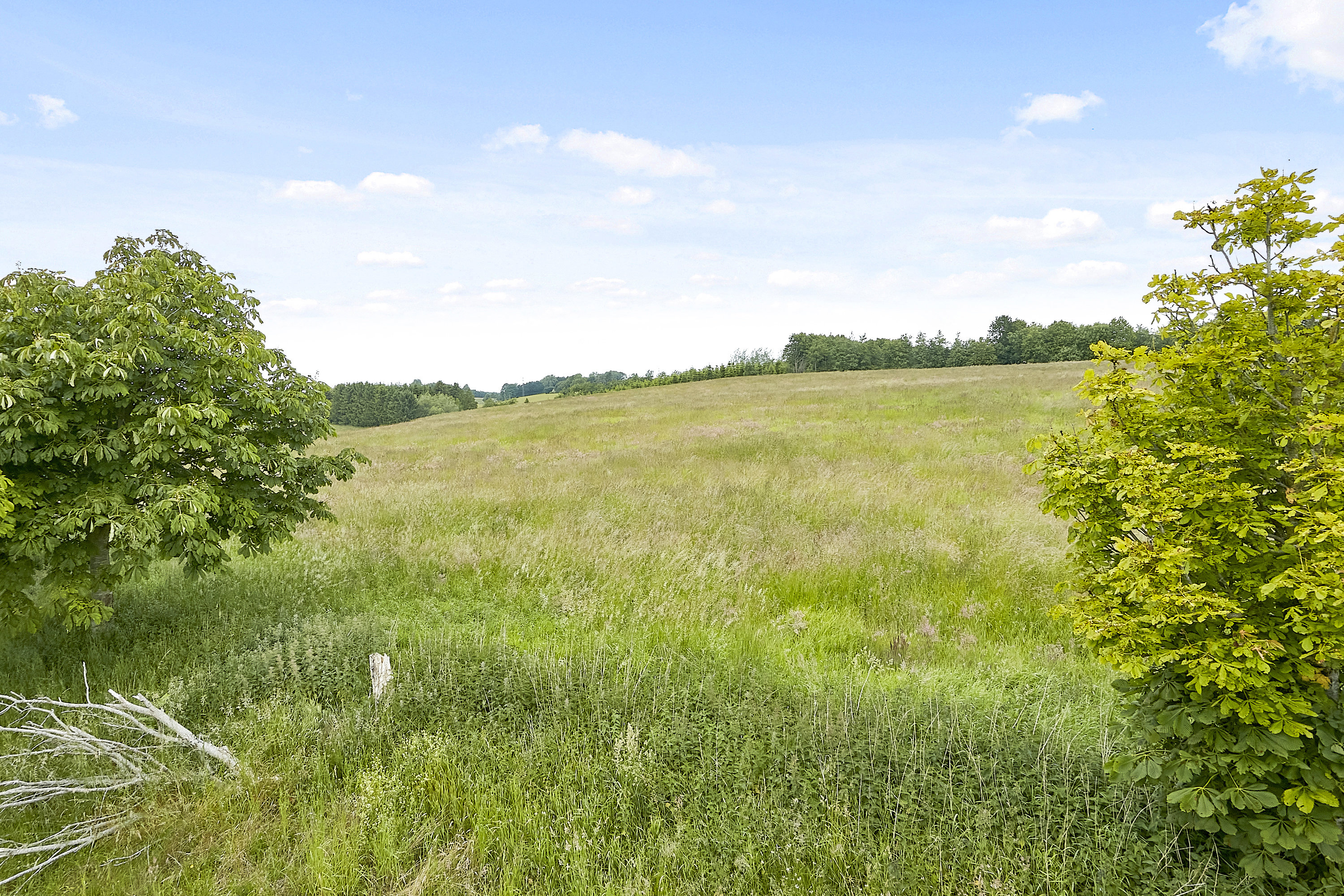 Fremhævet  billede i fuldskærmstilstand. Billede af Ring Søpark II 3, 8740 Brædstrup