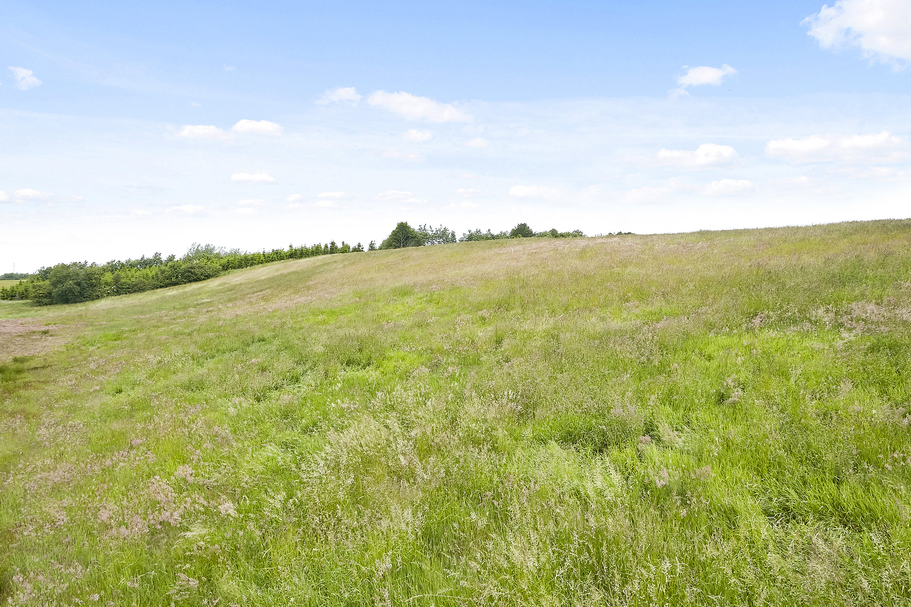Fremhævet  billede i fuldskærmstilstand. Billede af Ring Søpark II 5, 8740 Brædstrup
