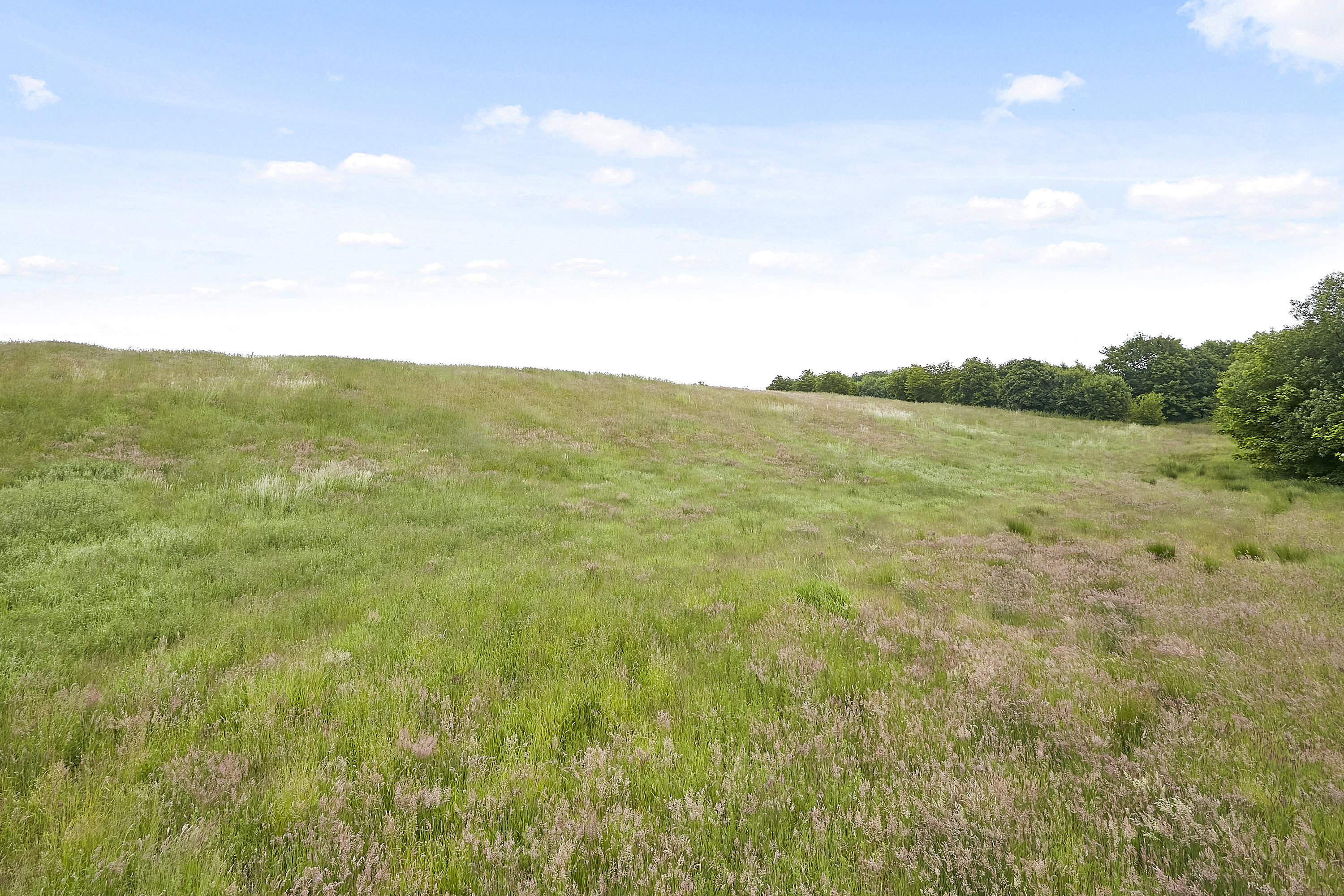Fremhævet  billede i fuldskærmstilstand. Billede af Ring Søpark II 6, 8740 Brædstrup