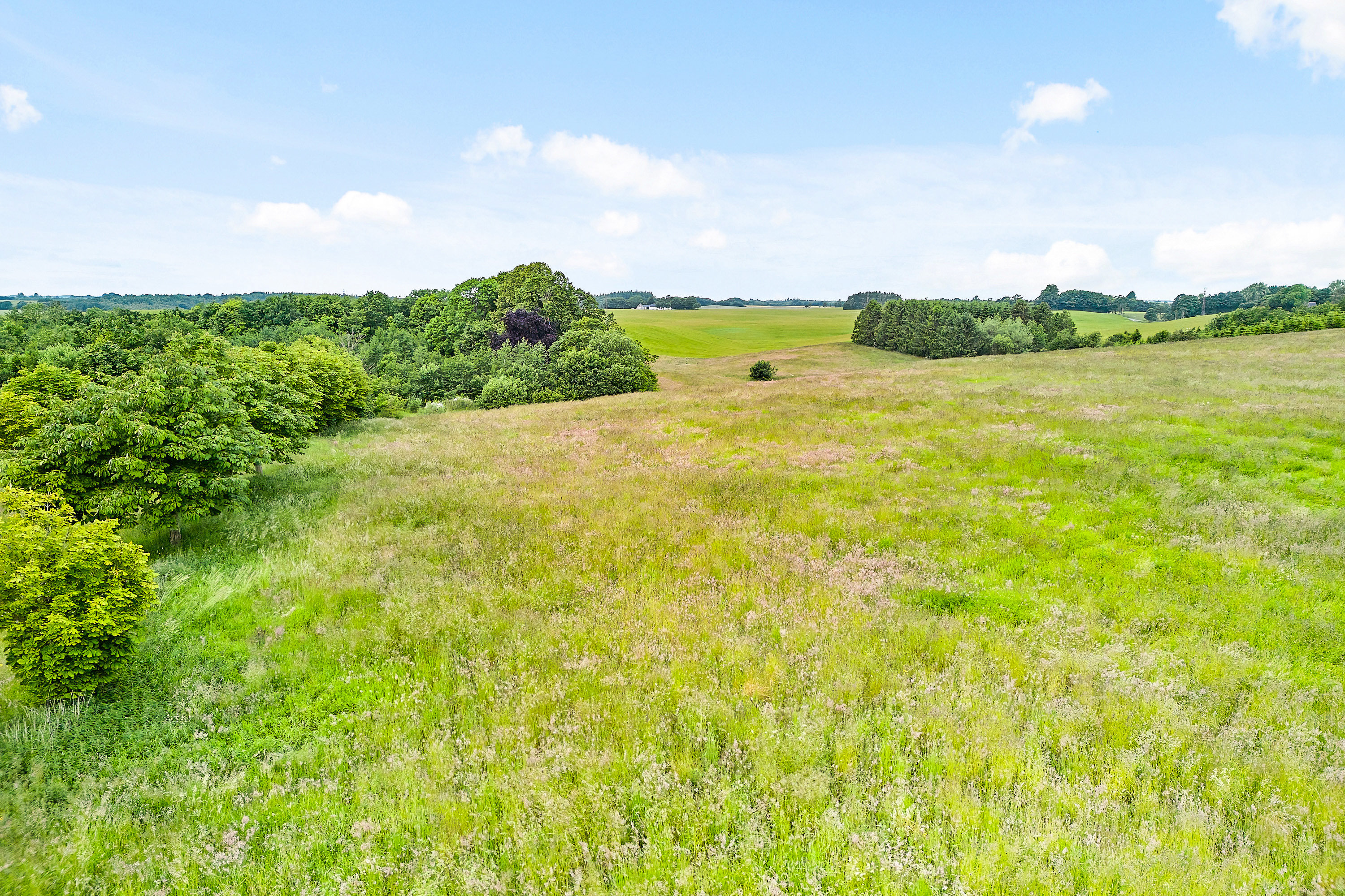 Fremhævet  billede i fuldskærmstilstand. Billede af Ring Søpark II 6, 8740 Brædstrup