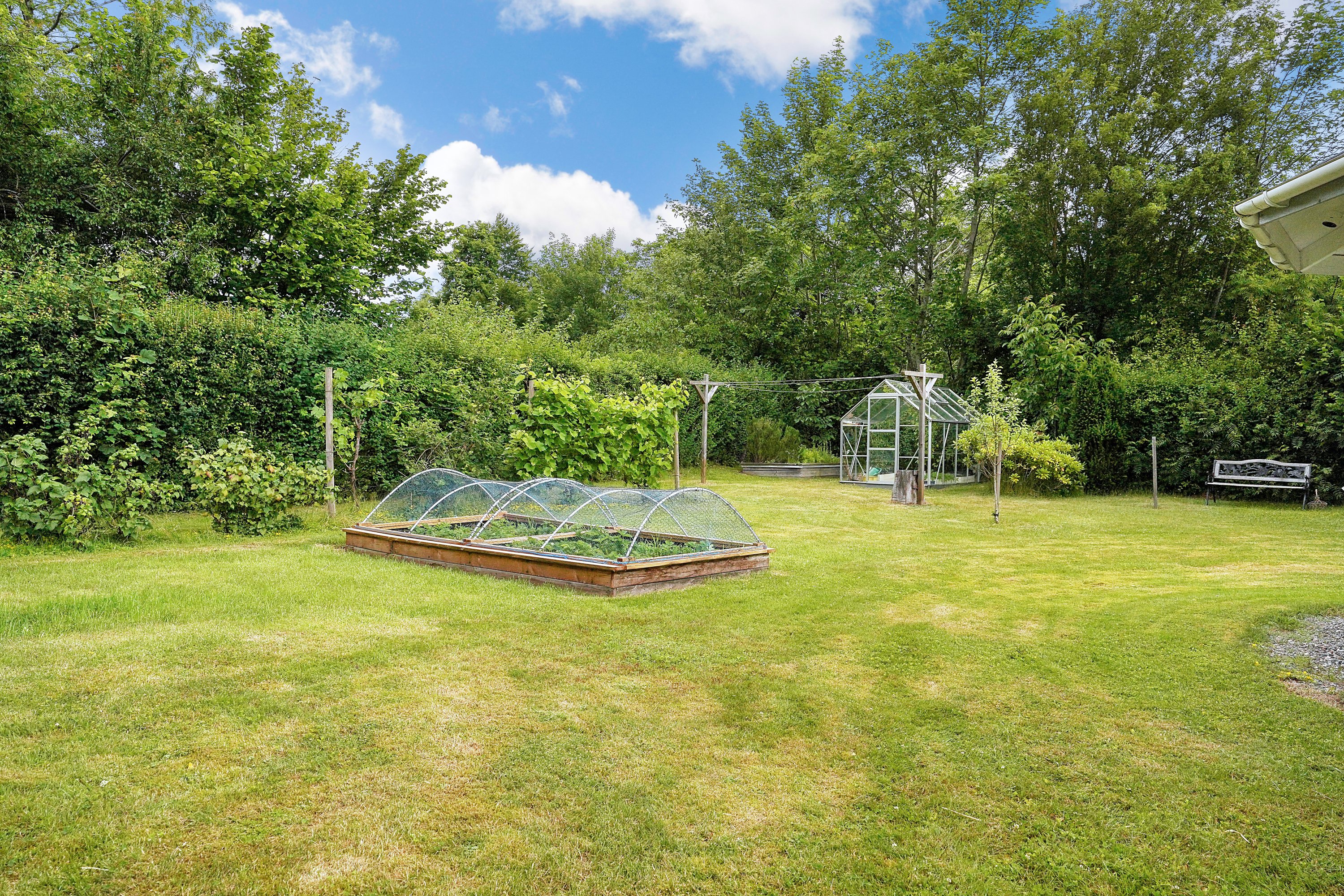 Miniaturebillede 2: have. Billede af Dalevænget 16, 3120 Dronningmølle