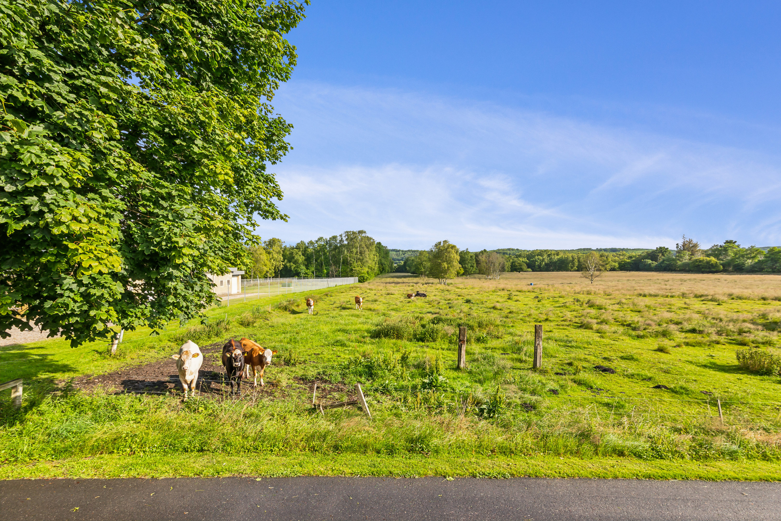 Miniaturebillede 2: omgivelser. Billede af Kærsangervej 14, 8860 Ulstrup