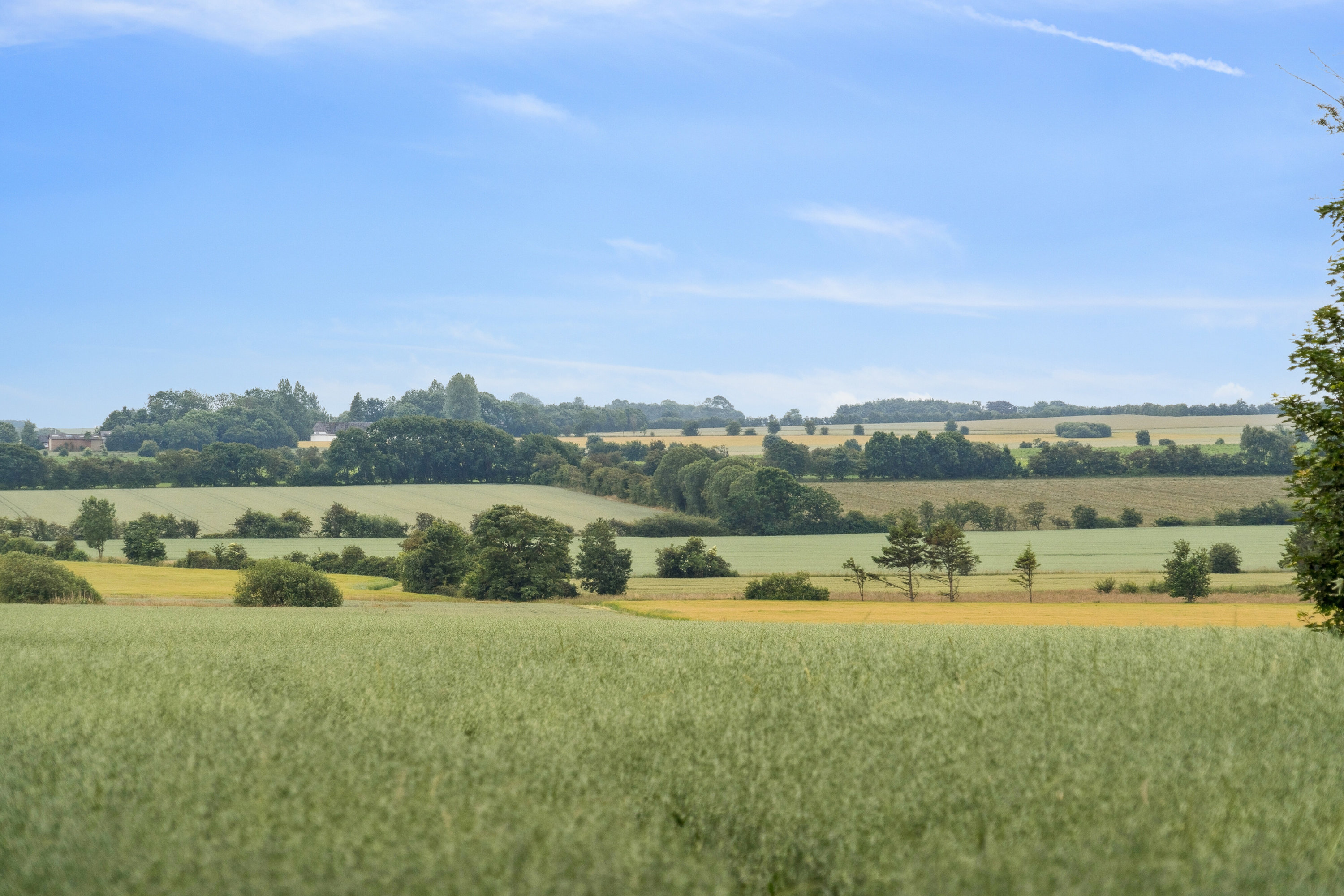 Fremhævet omgivelser billede i fuldskærmstilstand. Billede af Stenderupgård 1, 6630 Rødding