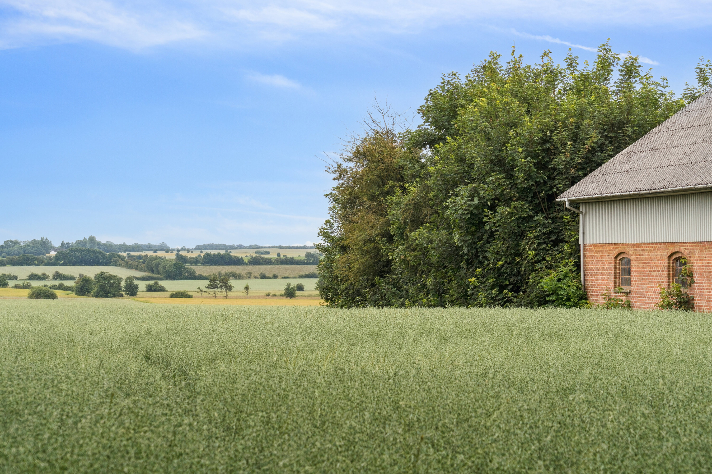 Fremhævet omgivelser billede i fuldskærmstilstand. Billede af Stenderupgård 1, 6630 Rødding