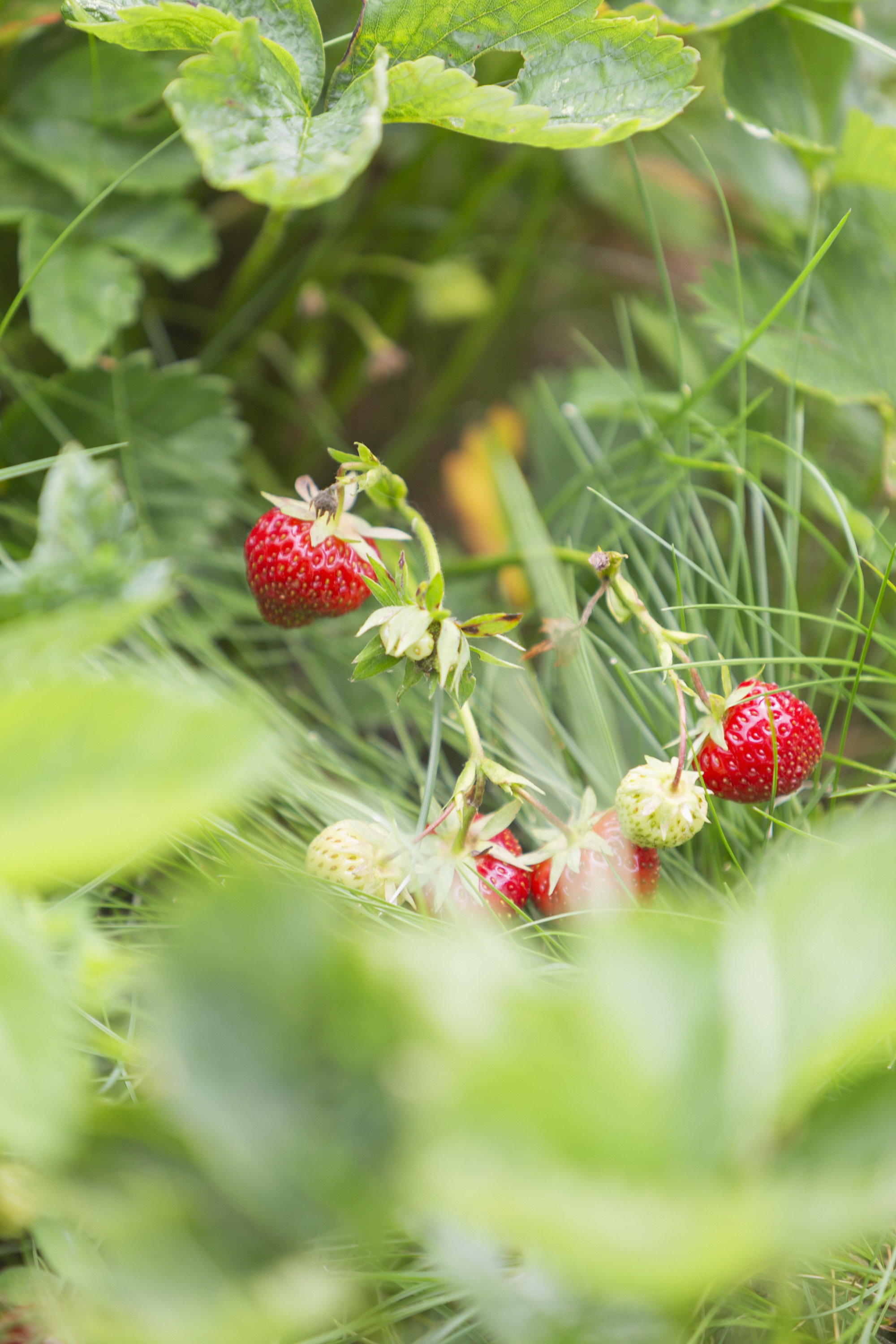Fremhævet ejendommen billede i fuldskærmstilstand. Billede af Damvej 11, Blegind, 8362 Hørning