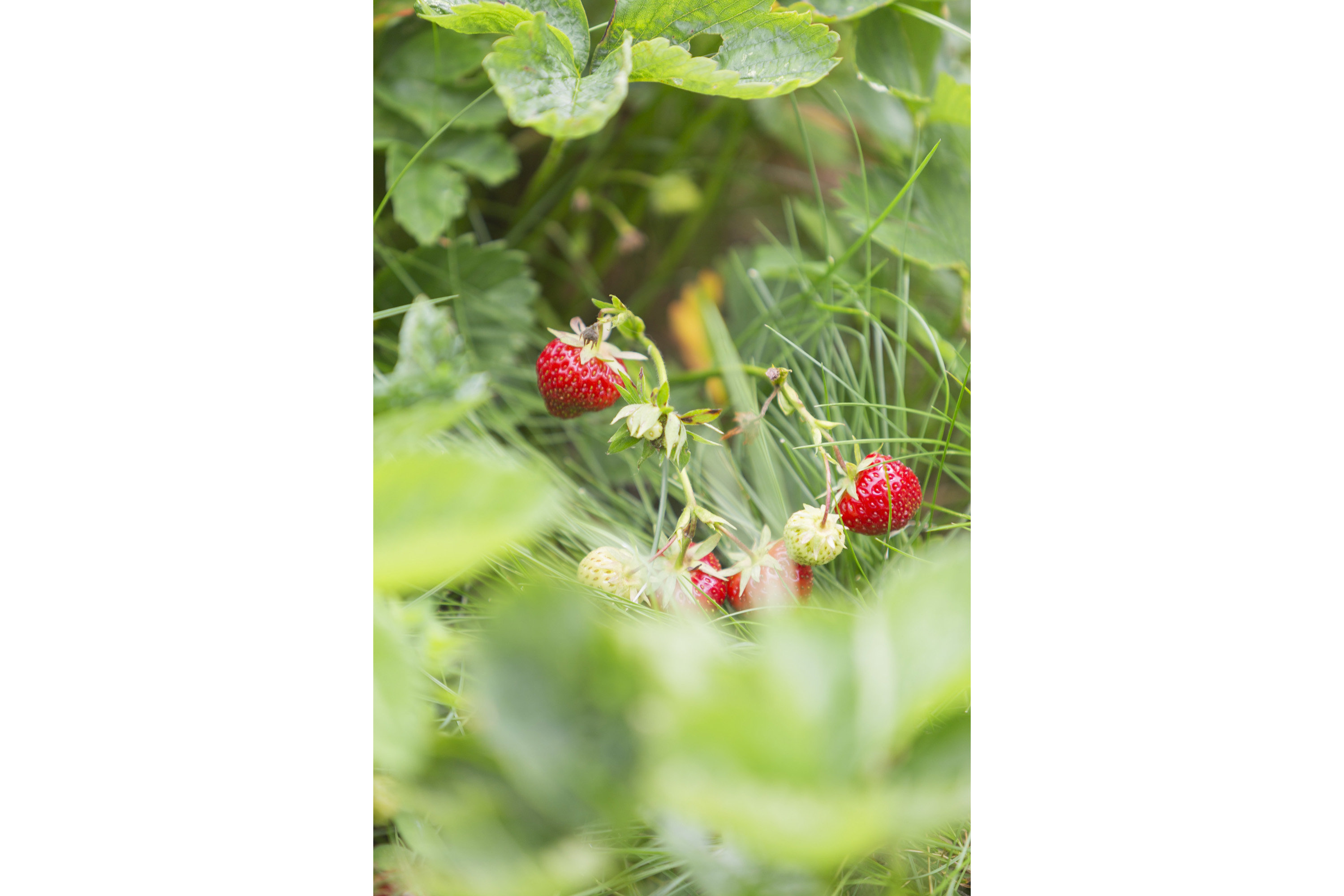 Fremhævet ejendommen billede i fuldskærmstilstand. Billede af Damvej 11, Blegind, 8362 Hørning