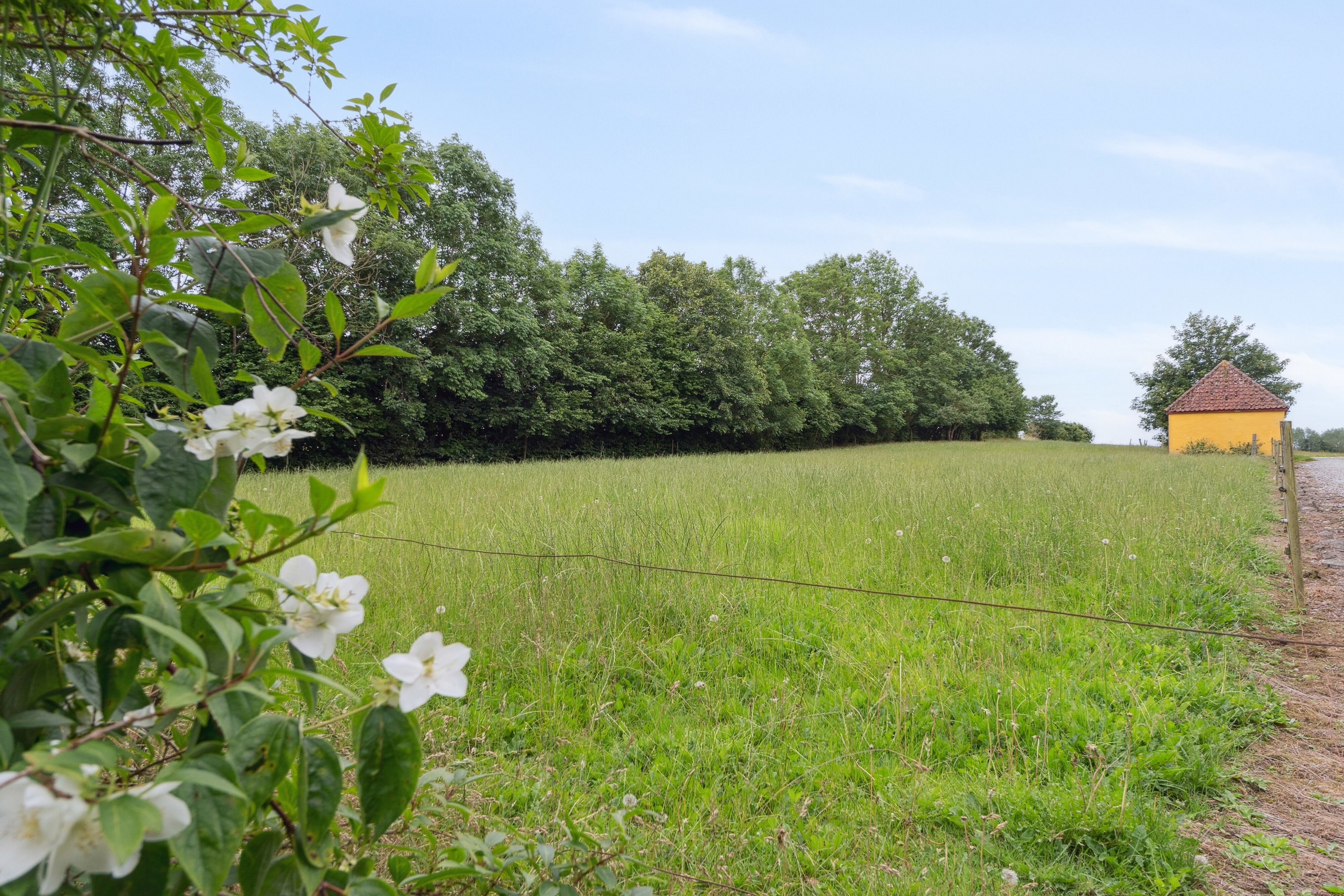 Fremhævet have billede i fuldskærmstilstand. Billede af Torupvej 22, Torup, 5485 Skamby