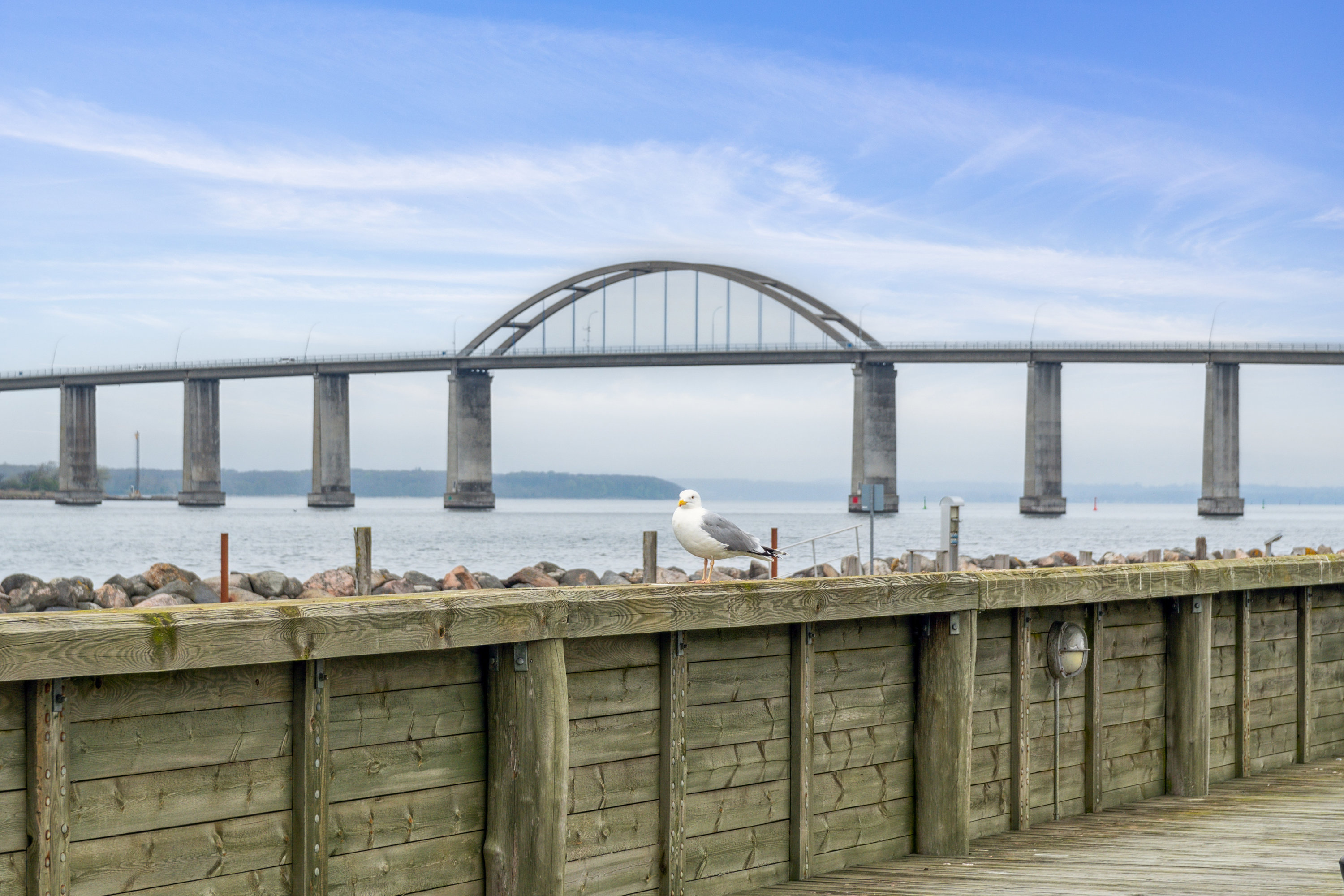 Fremhævet  billede i fuldskærmstilstand. Billede af Skudehavnen 16, 1., 5900 Rudkøbing