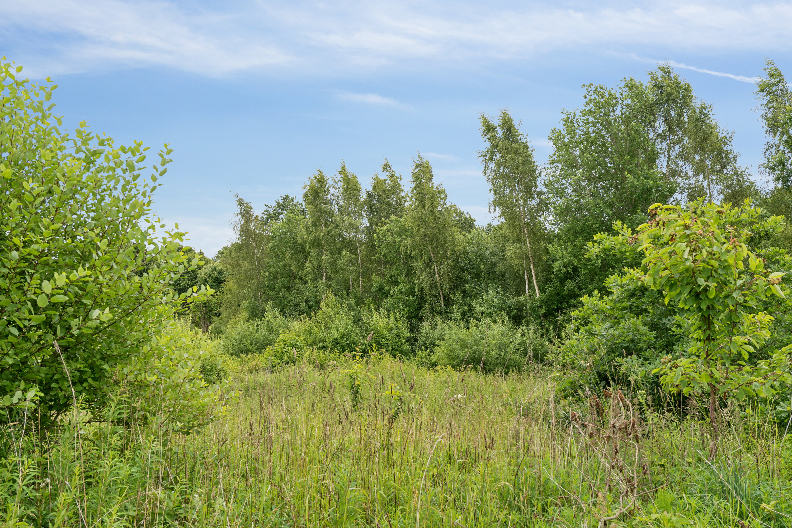 Fremhævet omgivelser billede i fuldskærmstilstand. Billede af Kløvermarken 21, Skallebølle, 5492 Vissenbjerg