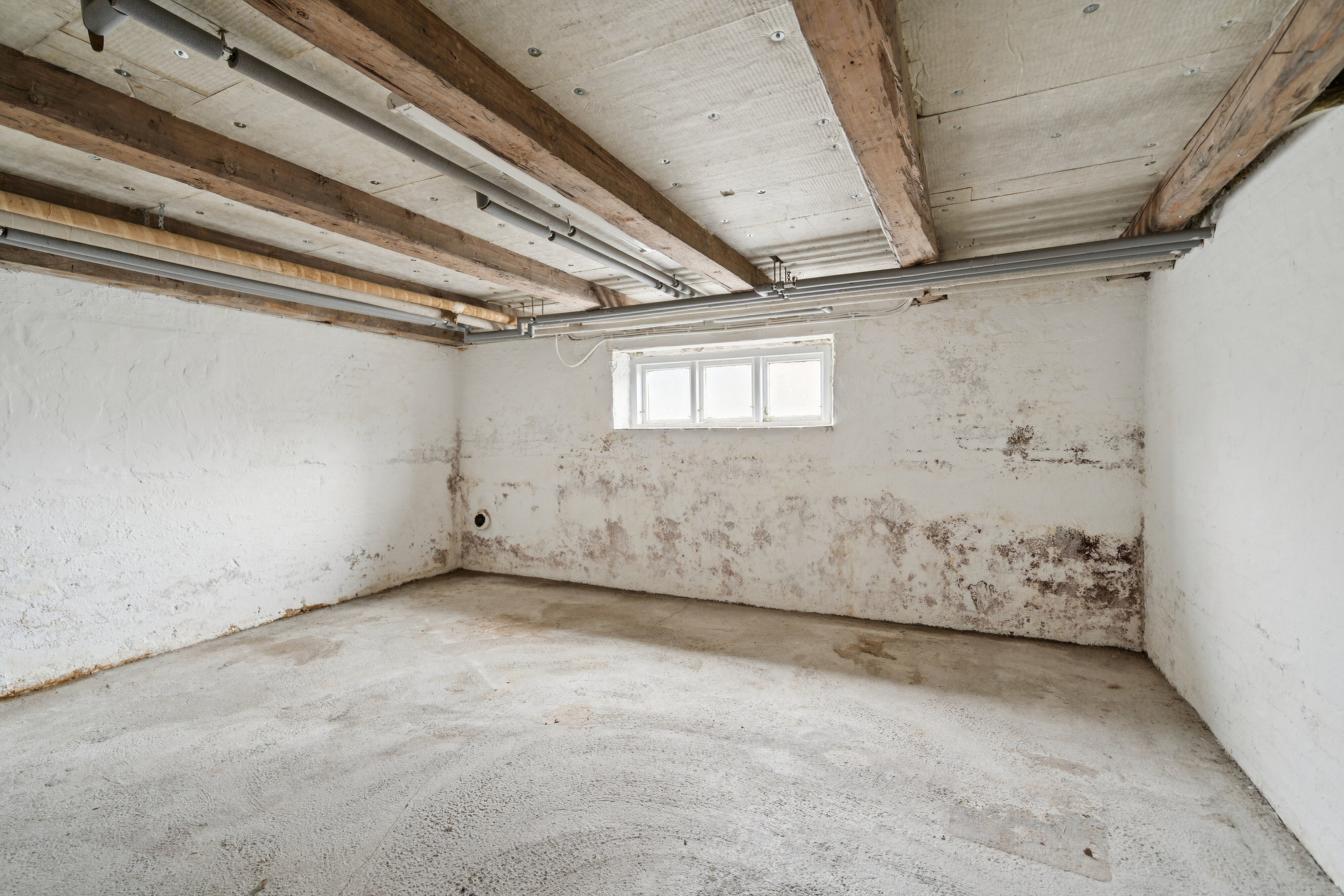 Fremhævet kælder billede i fuldskærmstilstand. Billede af Nyborgvej 232A, 5220 Odense SØ