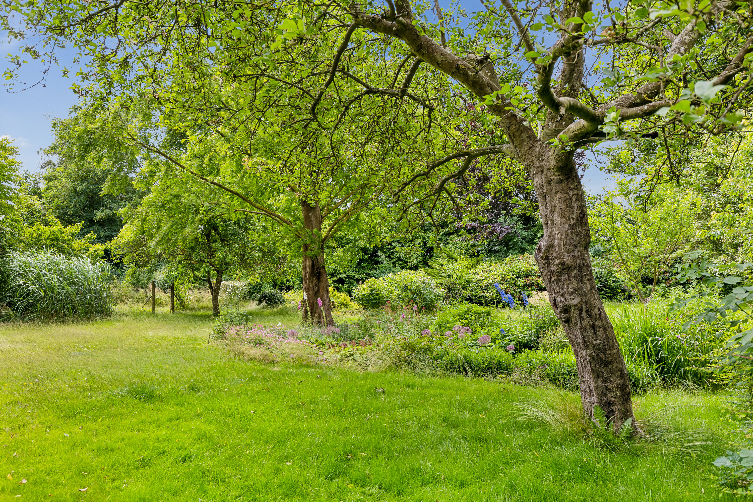 Fremhævet have billede i fuldskærmstilstand. Billede af Kragevigvej 1, Kragerup, 4291 Ruds Vedby