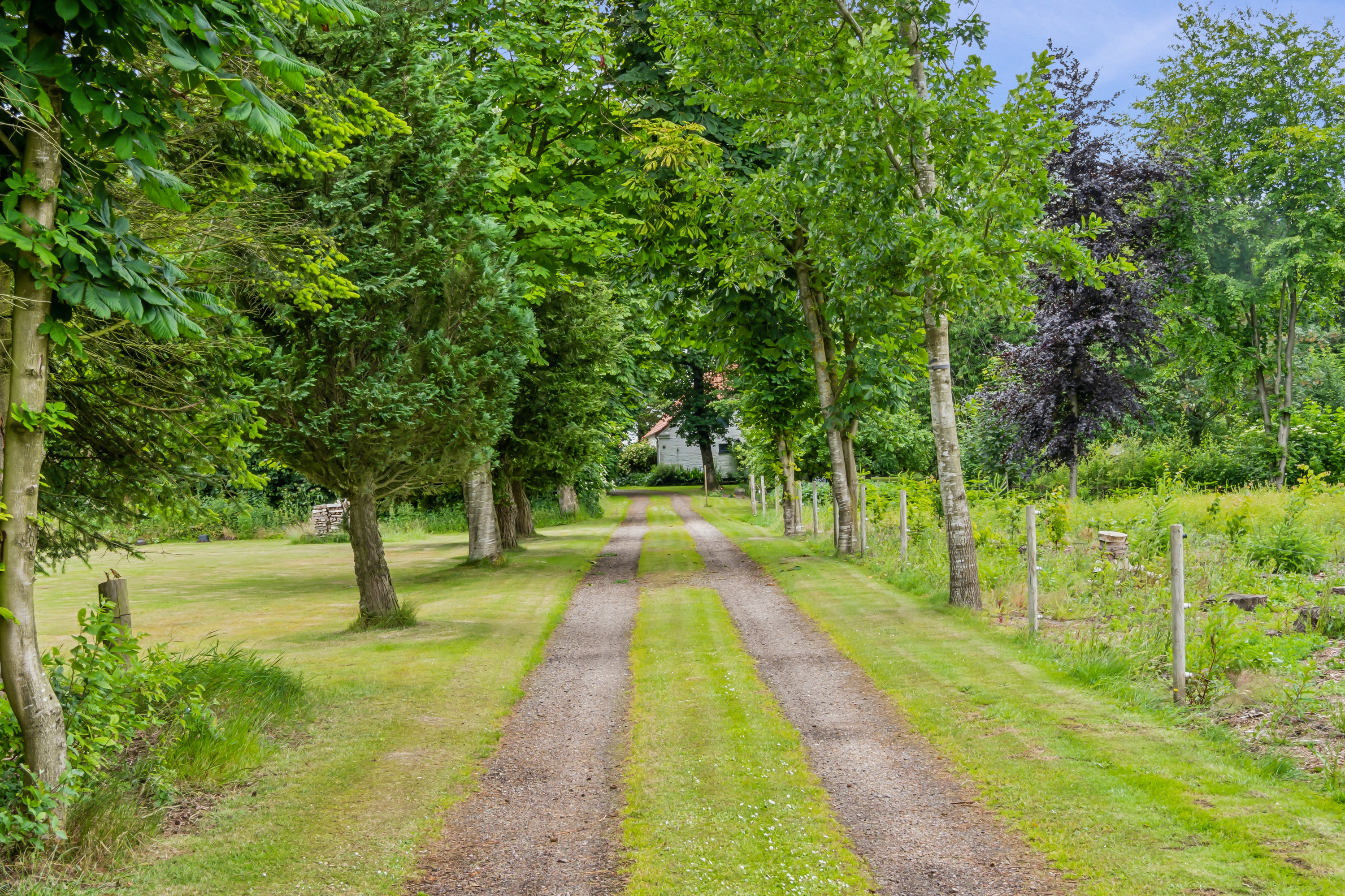 Fremhævet omgivelser billede i fuldskærmstilstand. Billede af Vildmosen 8, Ejstrup, 7860 Spøttrup