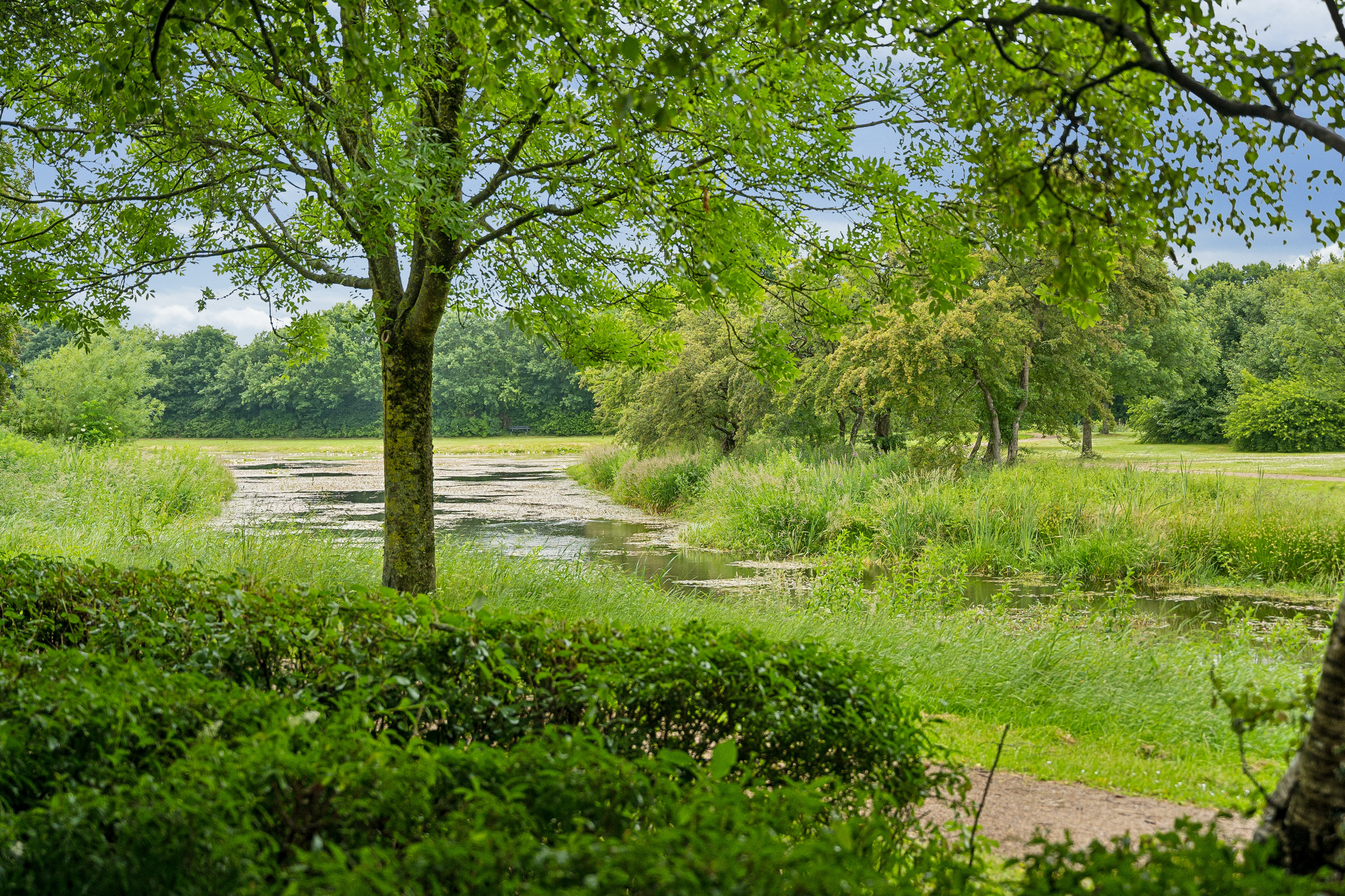 Fremhævet have billede i fuldskærmstilstand. Billede af Søparken 10, 6862 Tistrup