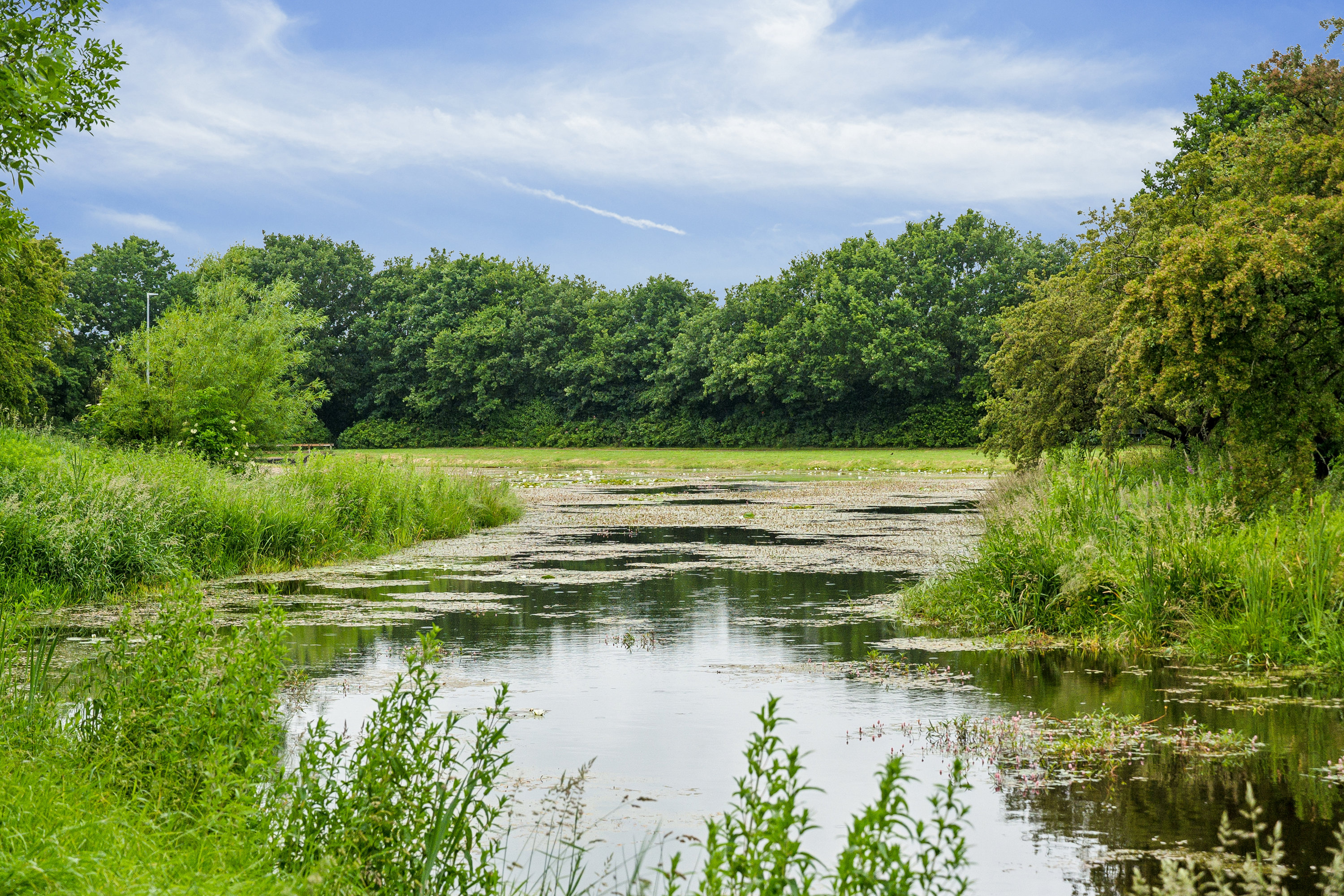 Fremhævet omgivelser billede i fuldskærmstilstand. Billede af Søparken 10, 6862 Tistrup
