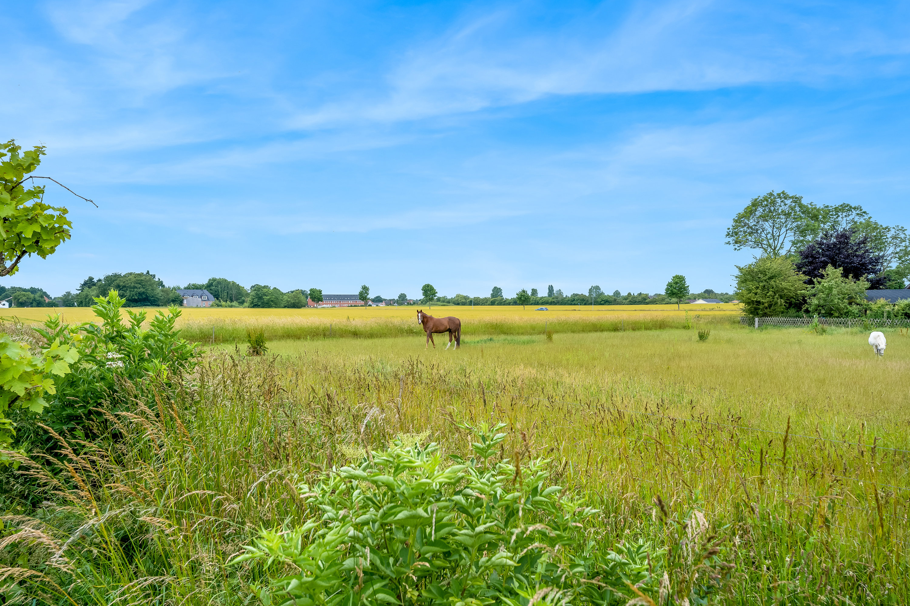 Fremhævet have billede i fuldskærmstilstand. Billede af Skovvej 5, 4960 Holeby