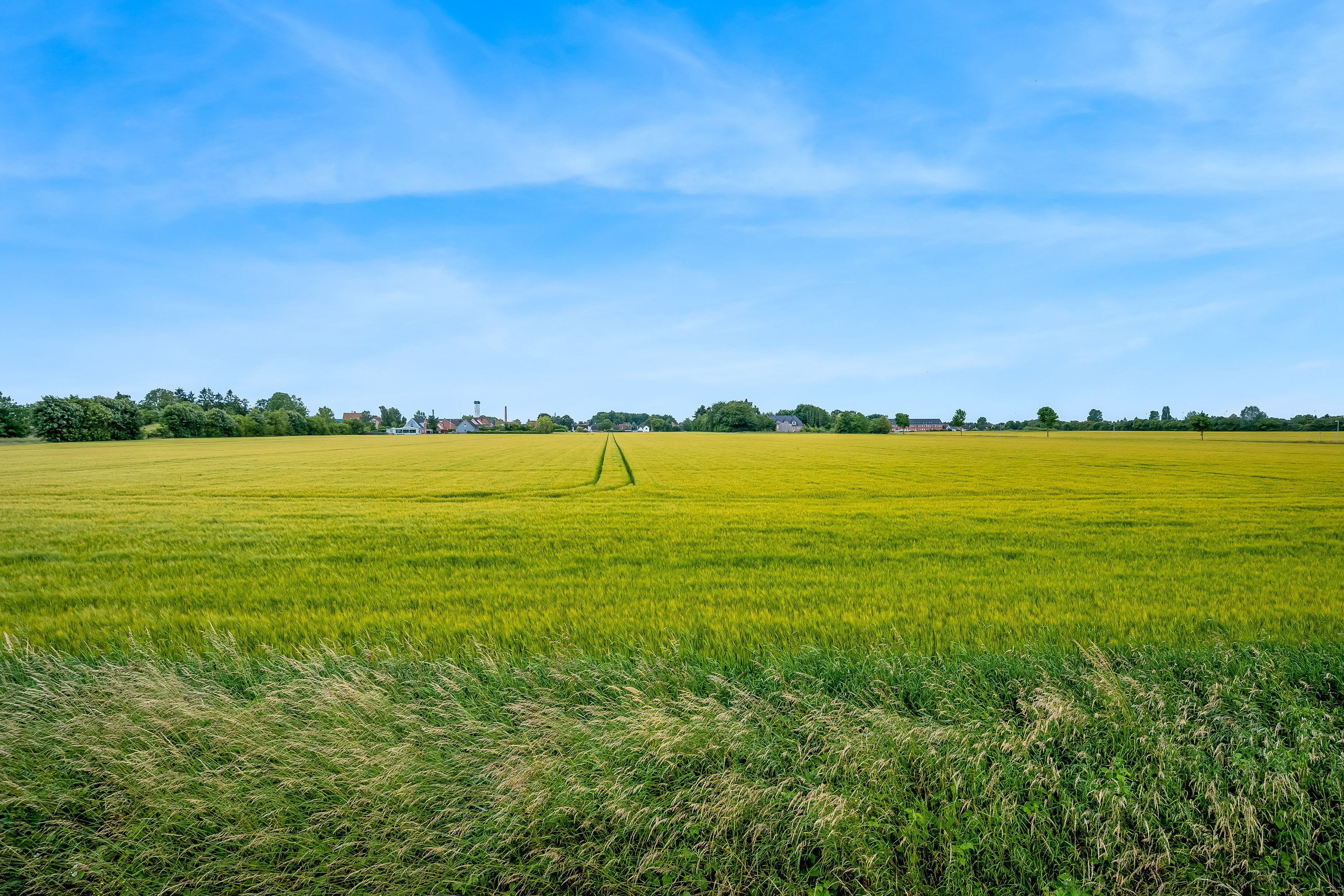 Fremhævet have billede i fuldskærmstilstand. Billede af Skovvej 5, 4960 Holeby