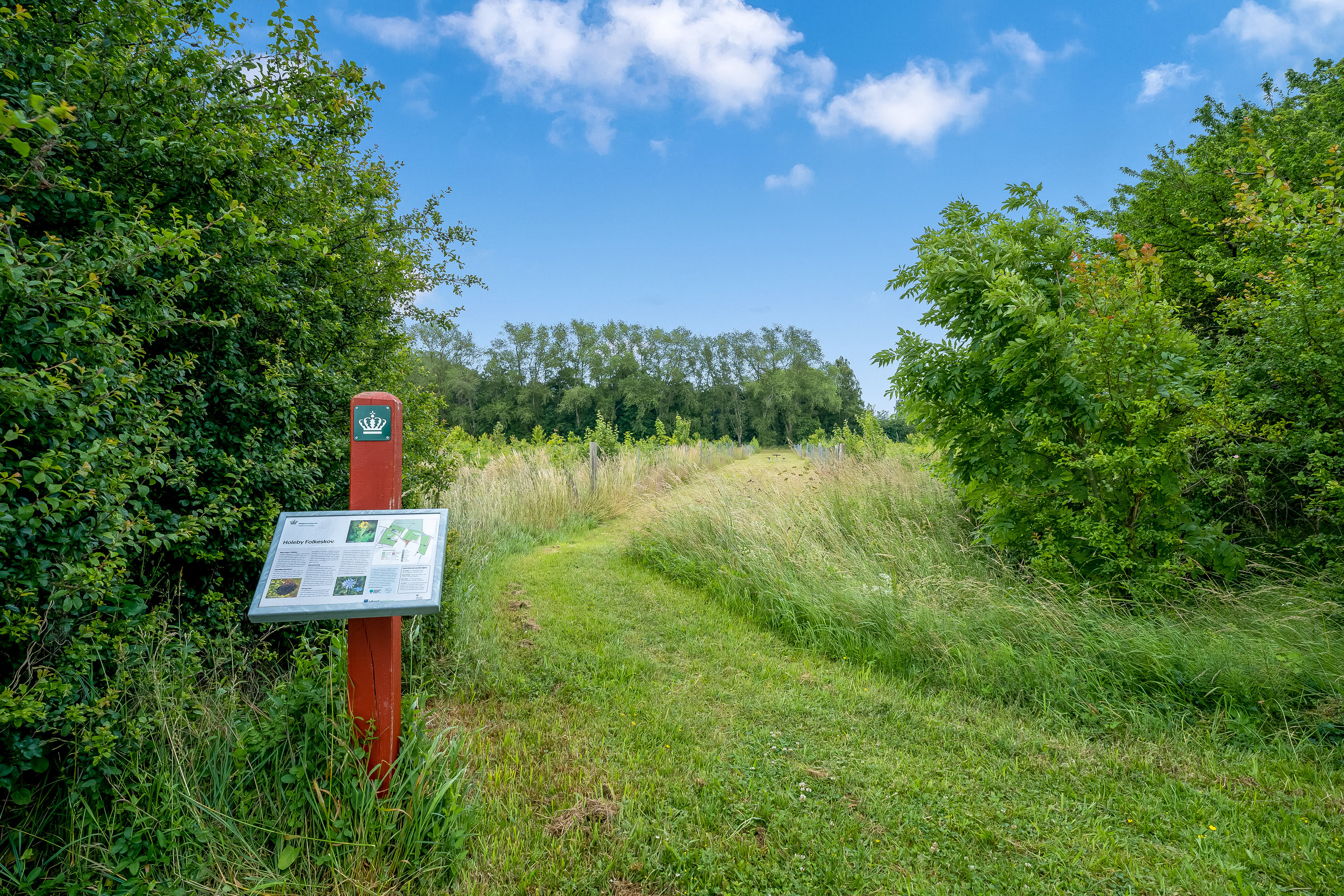 Fremhævet udsigt billede i fuldskærmstilstand. Billede af Skovvej 5, 4960 Holeby