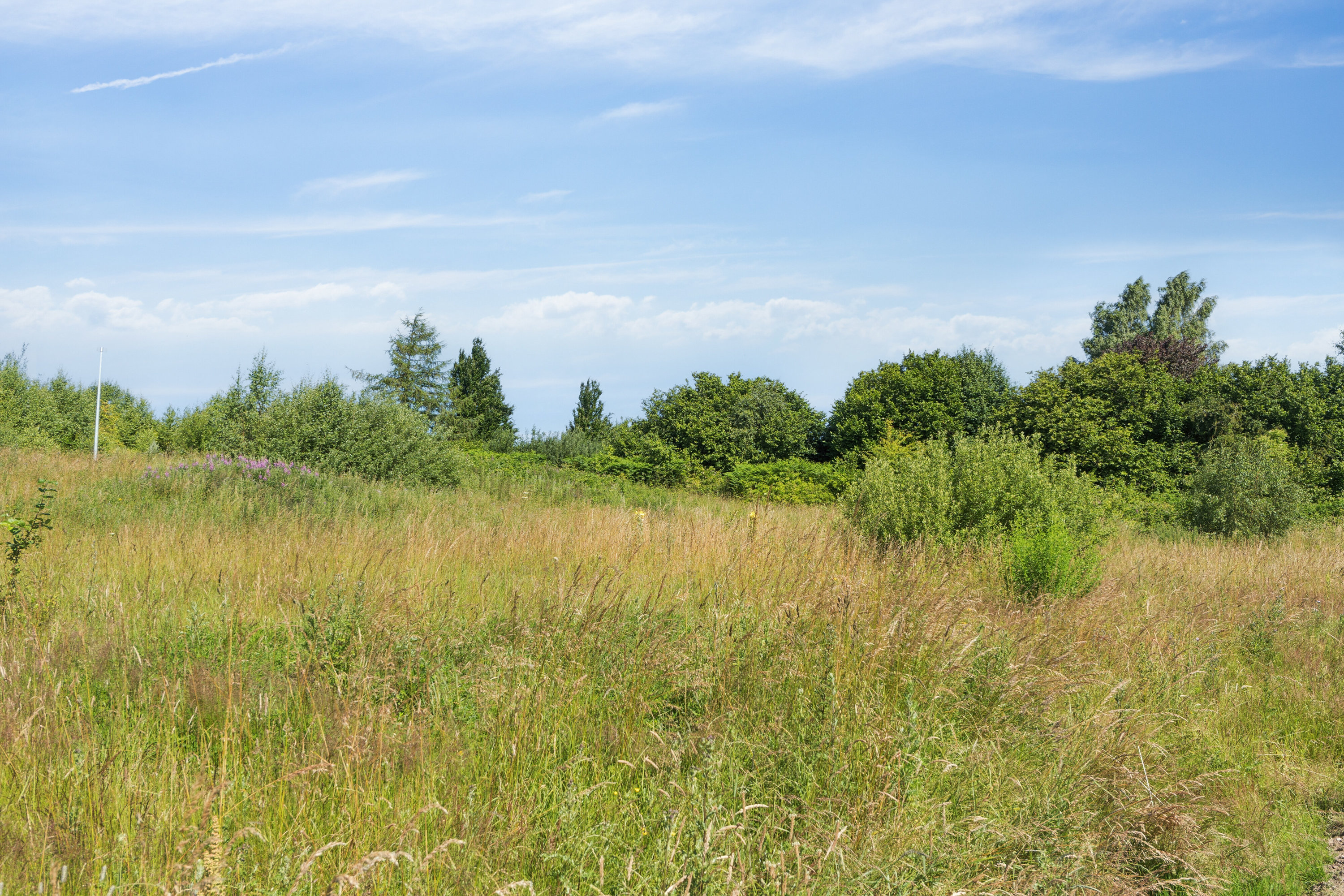 Fremhævet udendørs billede i fuldskærmstilstand. Billede af Kløvermarken 5, Skallebølle, 5492 Vissenbjerg