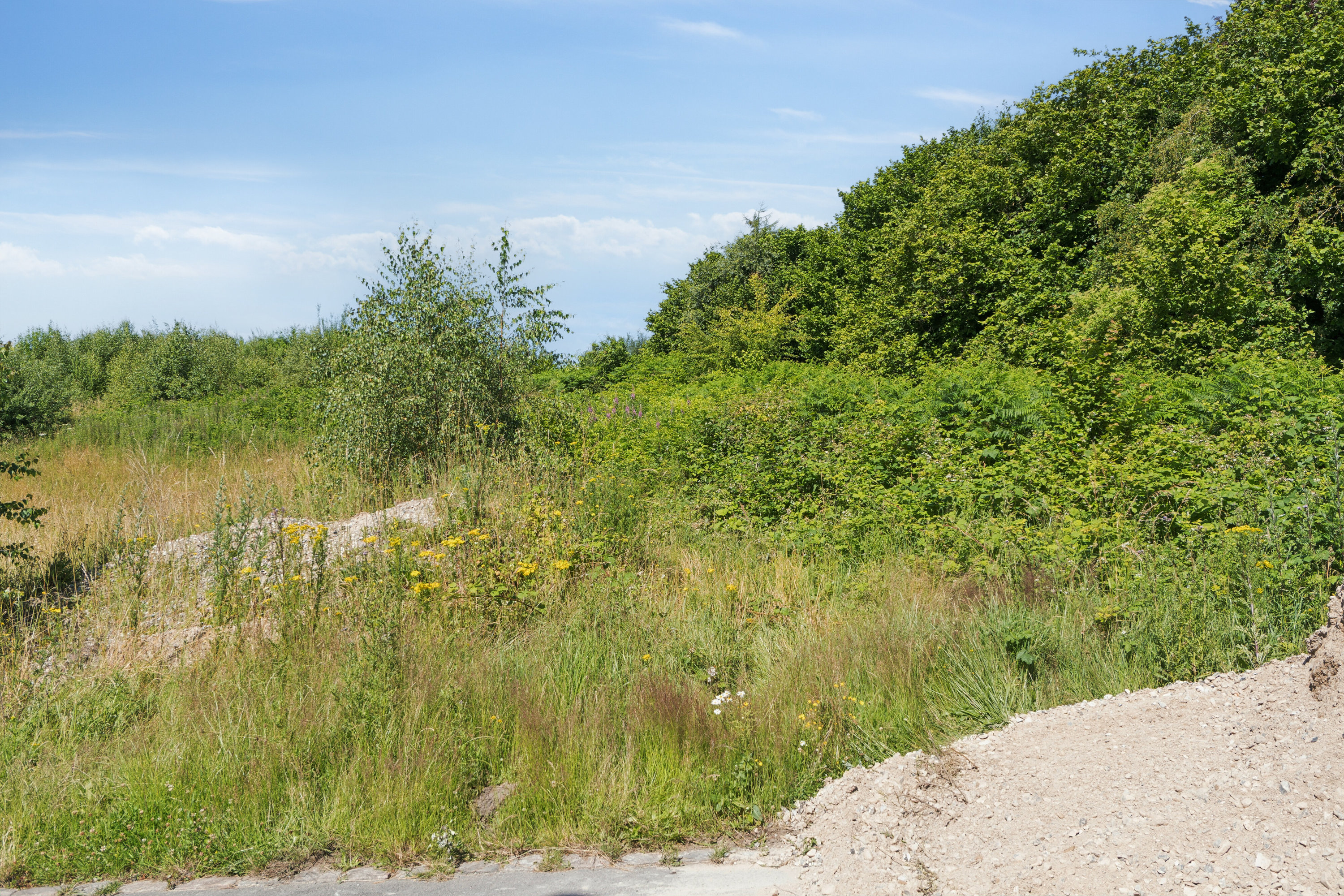 Fremhævet udendørs billede i fuldskærmstilstand. Billede af Kløvermarken 5, Skallebølle, 5492 Vissenbjerg