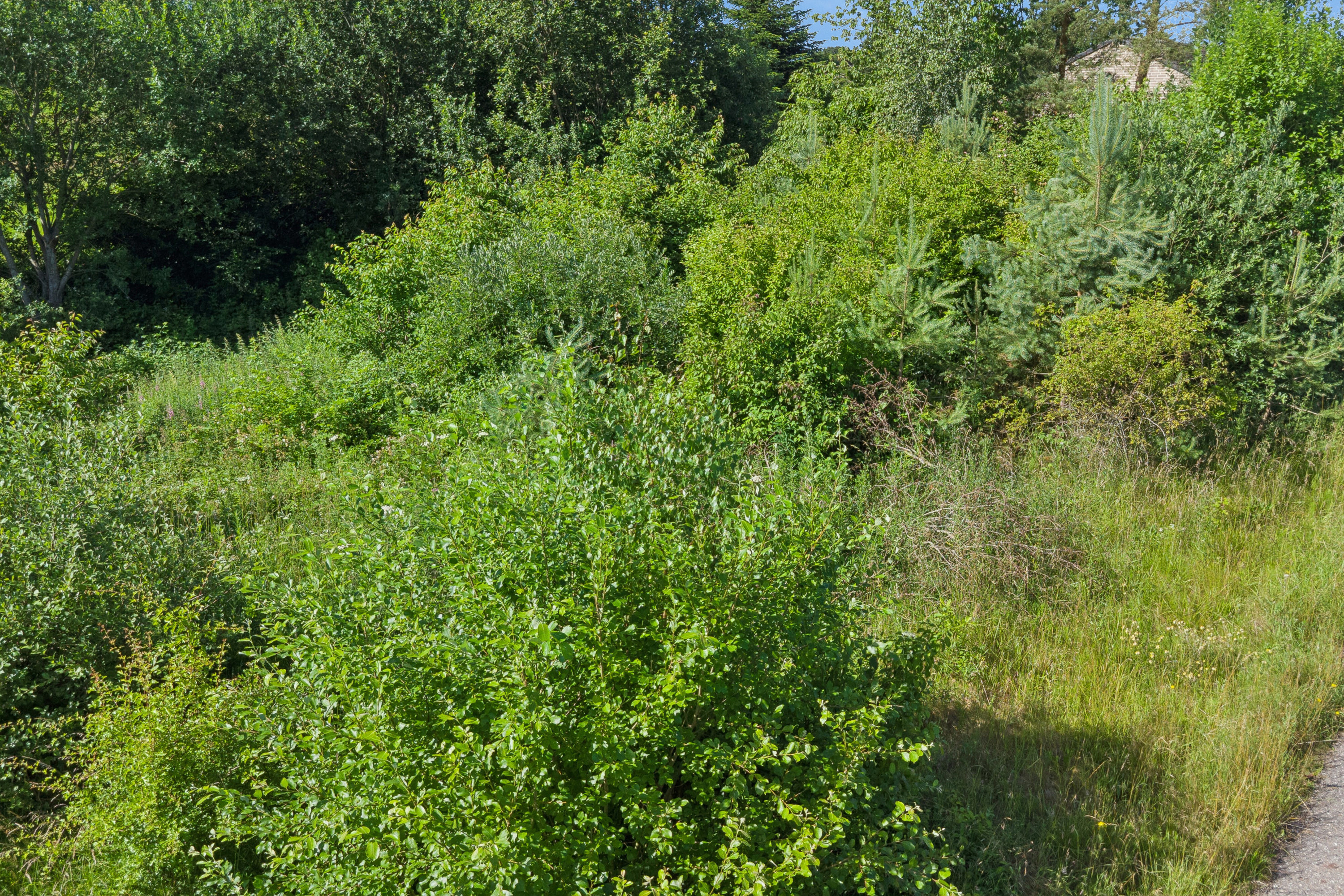 Fremhævet udendørs billede i fuldskærmstilstand. Billede af Kløvermarken 19, Skallebølle, 5492 Vissenbjerg