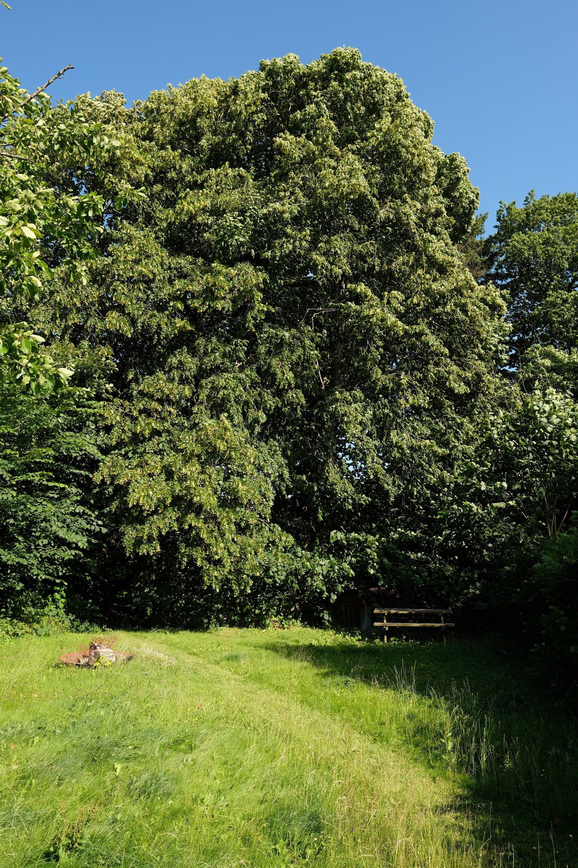 Fremhævet  billede i fuldskærmstilstand. Billede af Rosensgade 89C, 8300 Odder