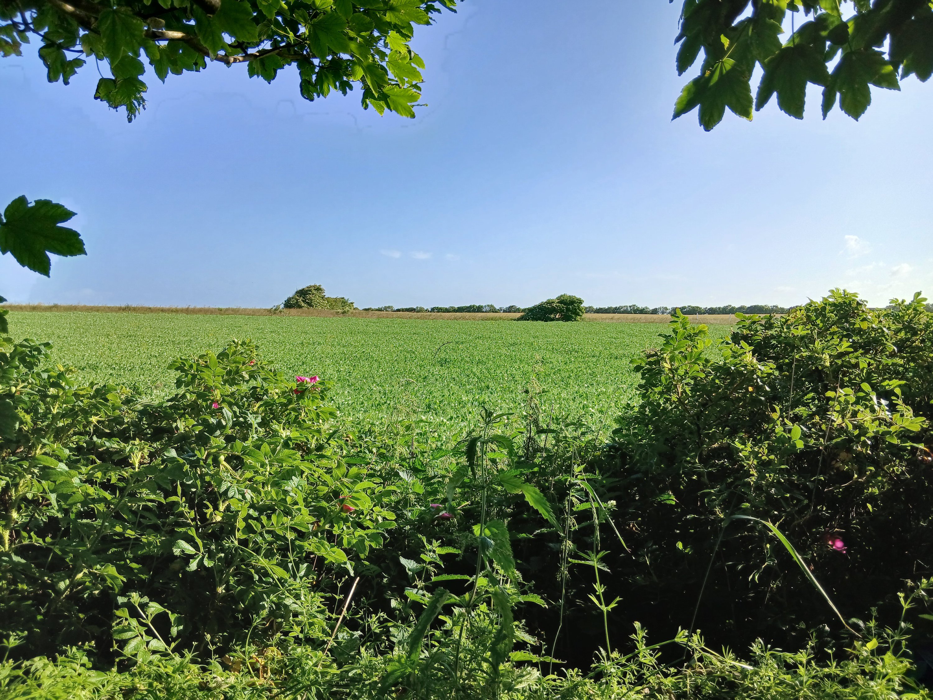 Fremhævet  billede i fuldskærmstilstand. Billede af Aggervej 3, 7770 Vestervig