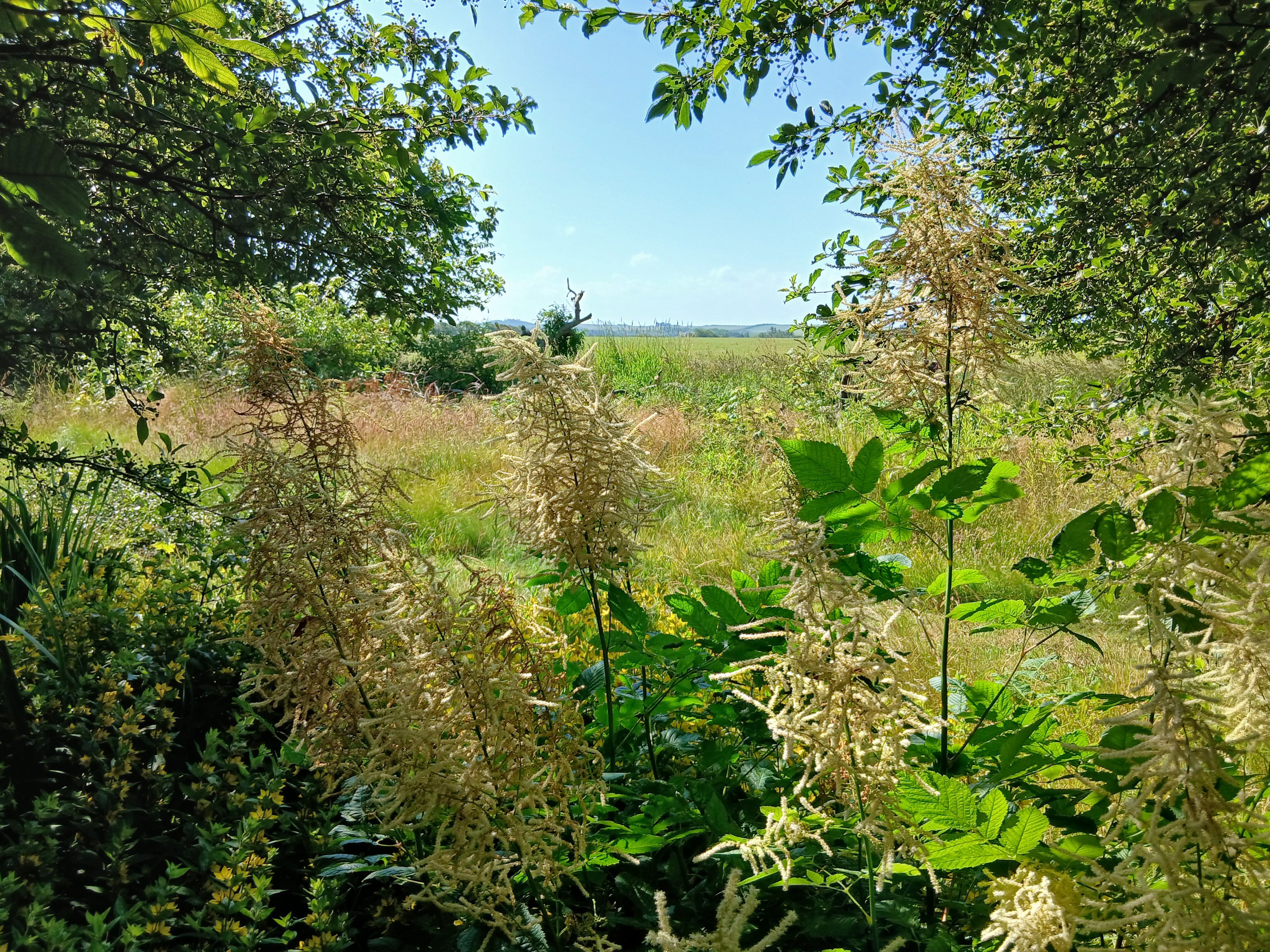 Fremhævet  billede i fuldskærmstilstand. Billede af Aggervej 3, 7770 Vestervig